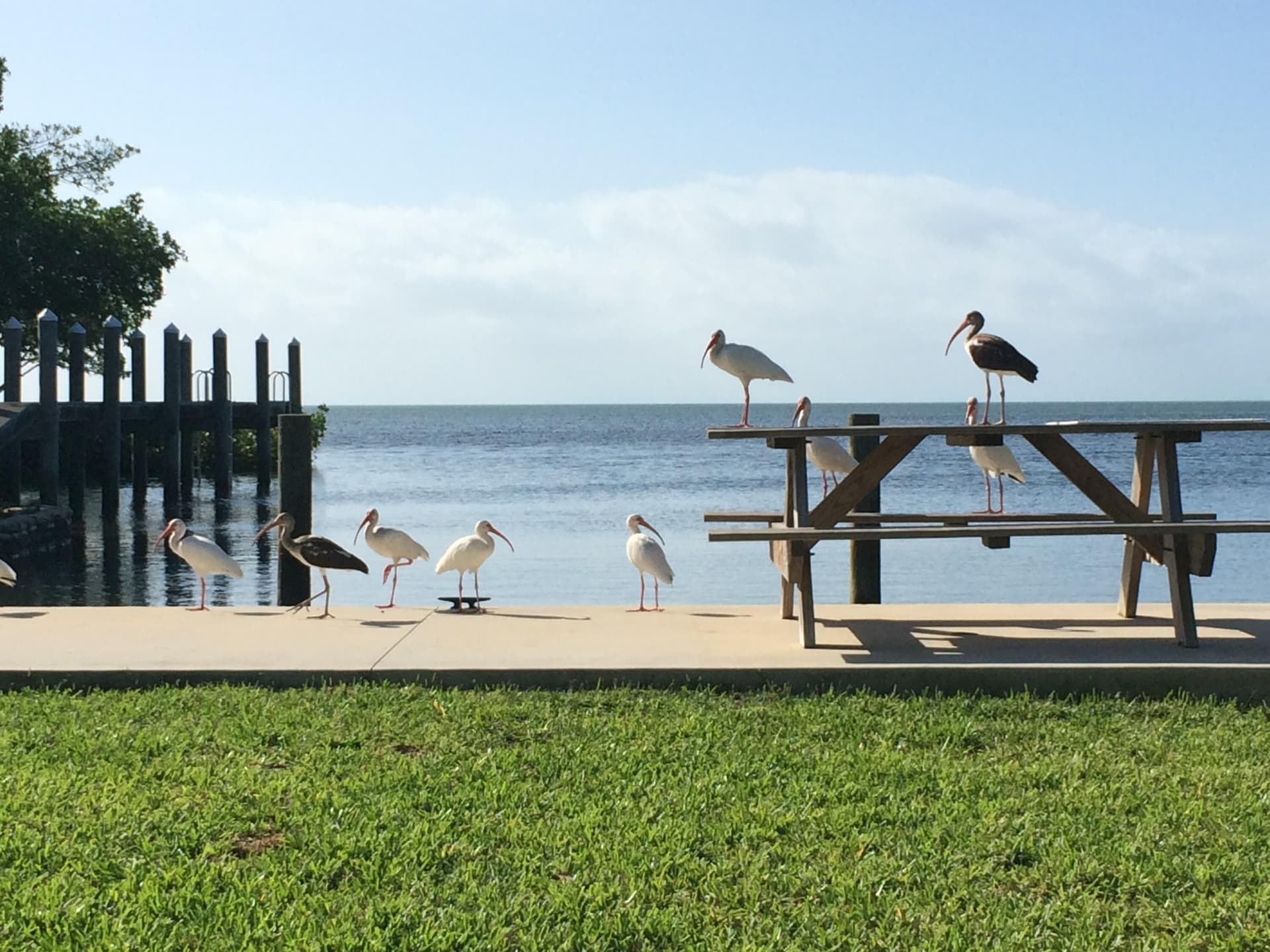 21540 21470 Overseas Highway photo 12