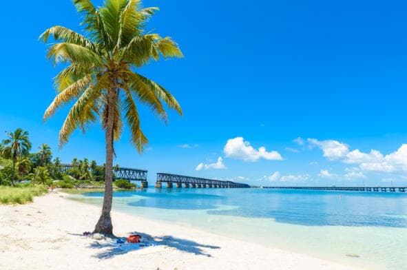 10877 Overseas Highway 7 photo 7