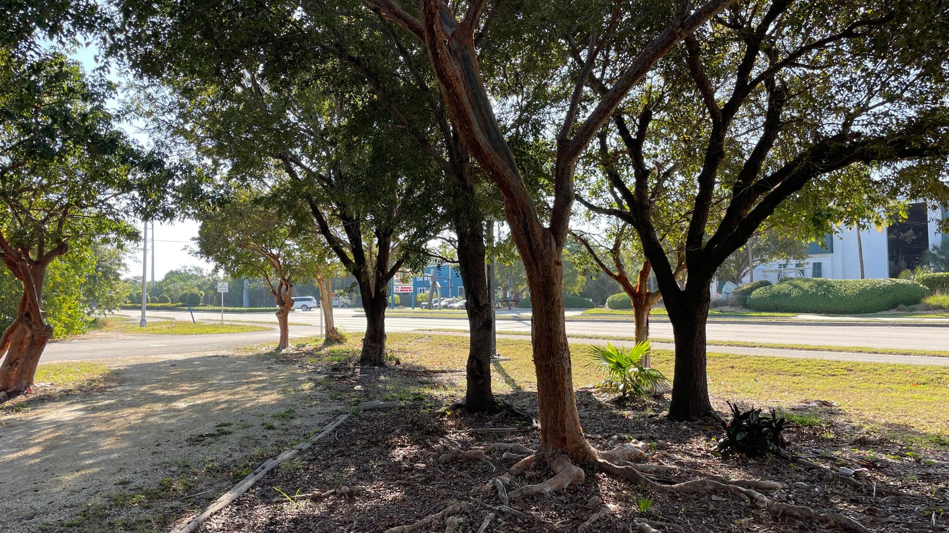 14 125th Street Gulf photo 14