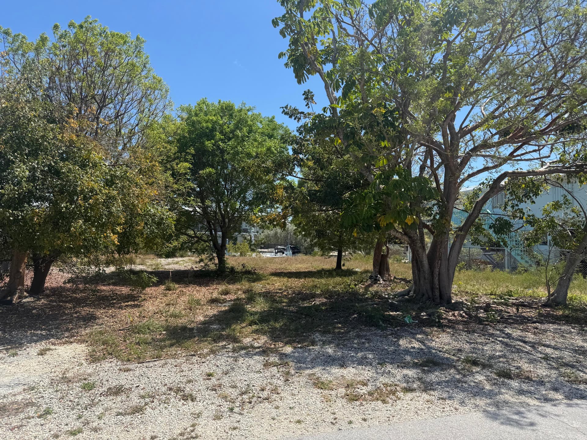 29558 Ranger Avenue photo 8