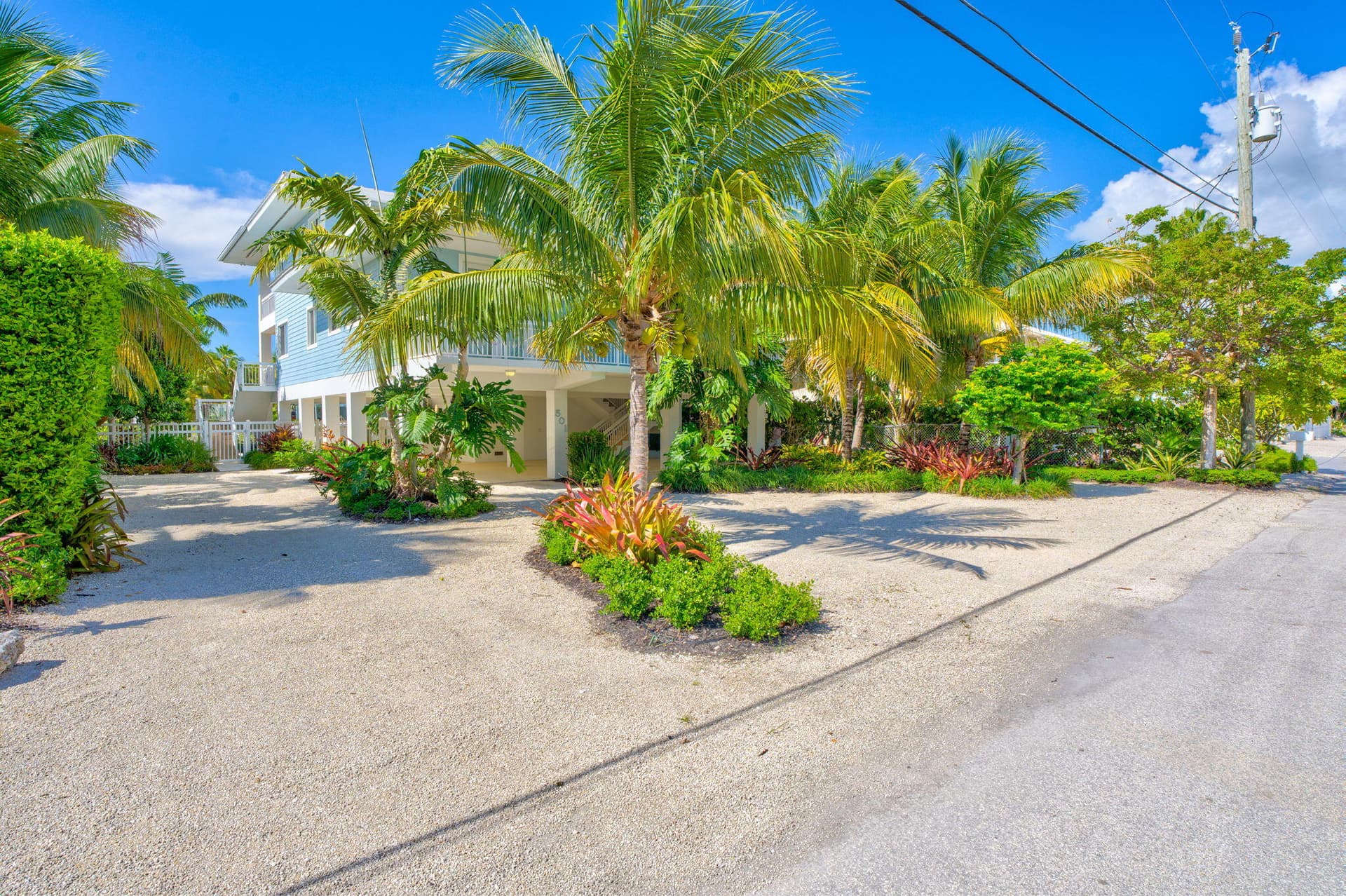 501 Caribbean Drive photo 7