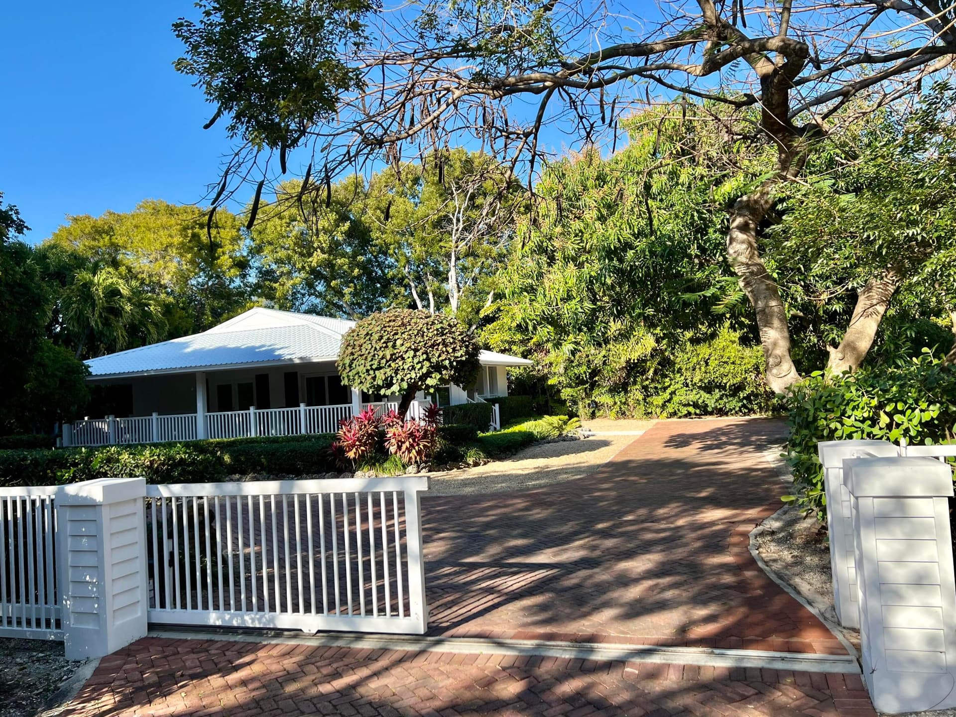 20 Avacado Street photo 9