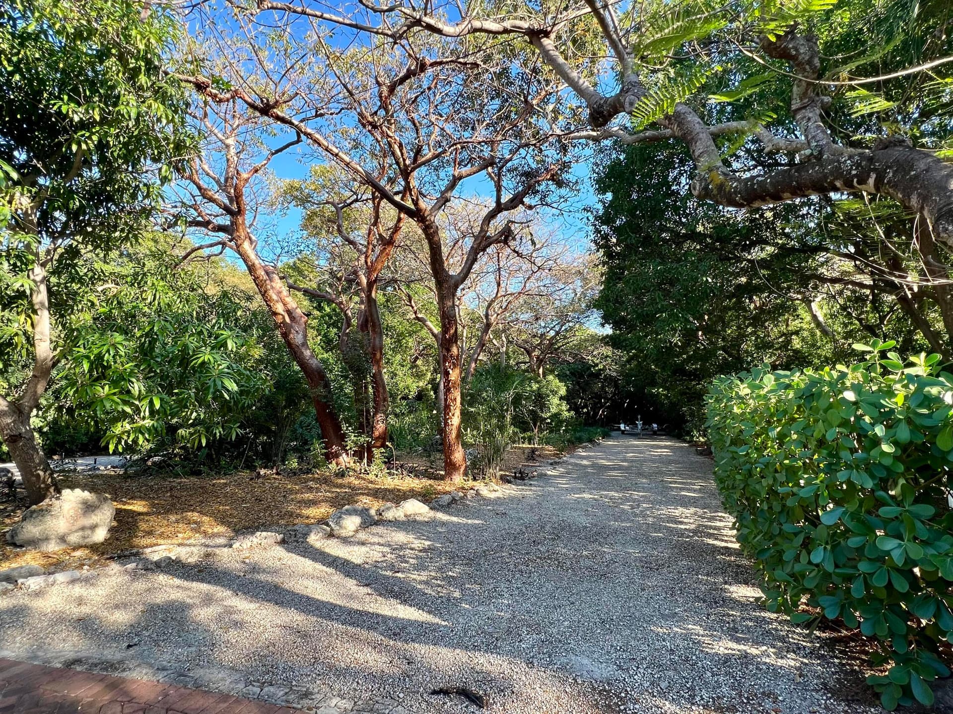 20 Avacado Street photo 12