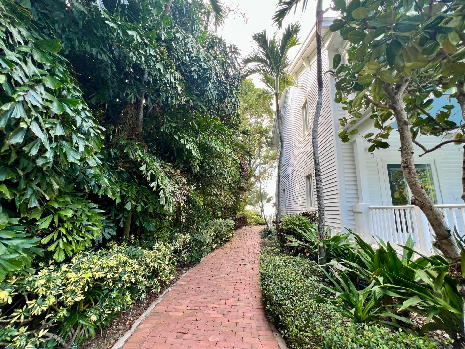 20 Avacado Street photo 14