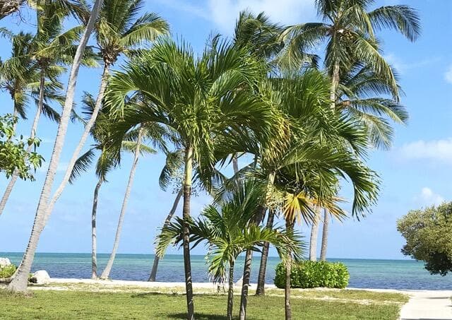 75131 Overseas Highway photo 19