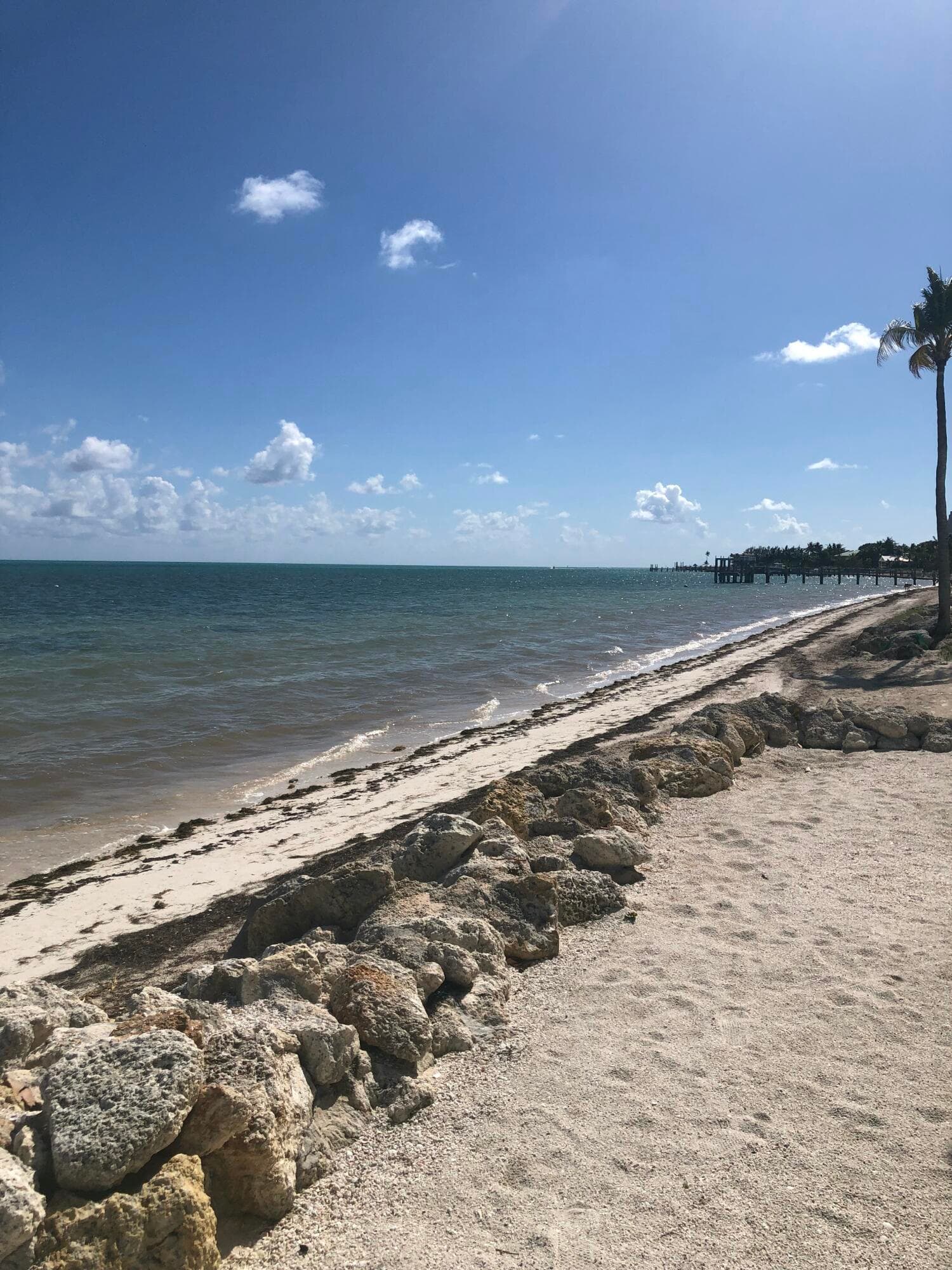 135 Coco Plum Drive APT 3B photo 5