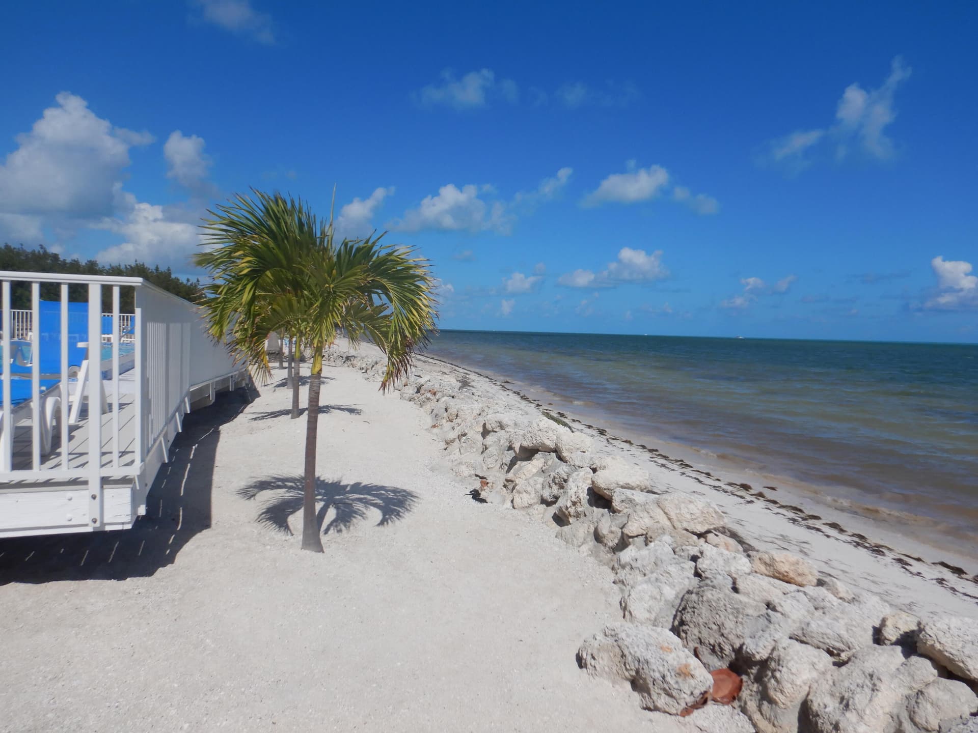 135 Coco Plum Drive APT 3B photo 6