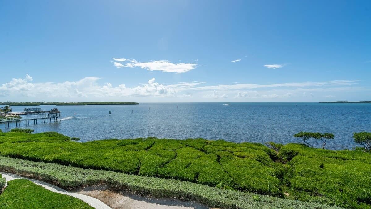 97501 Overseas Highway 334 photo 3