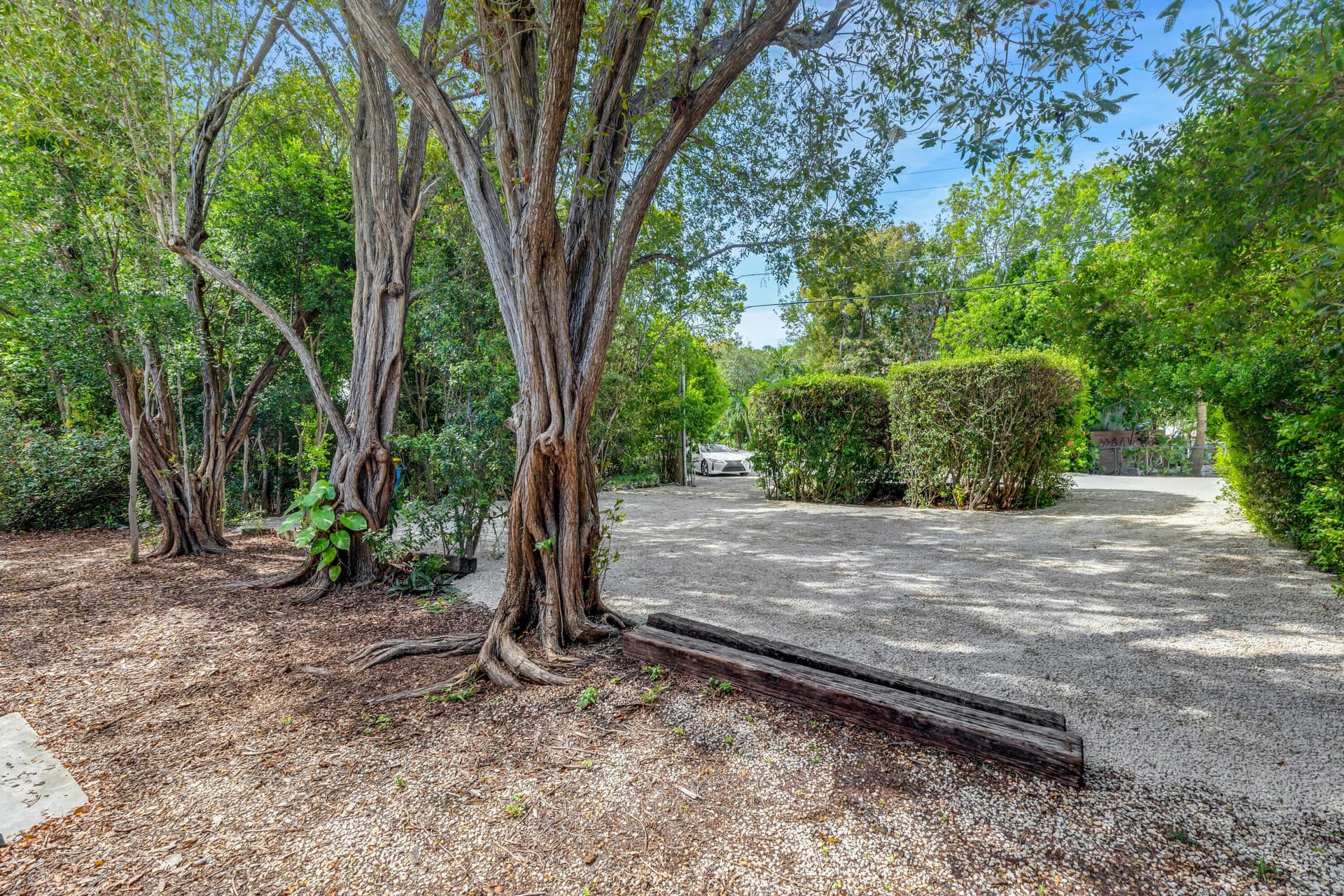 230 Apache Street photo 15