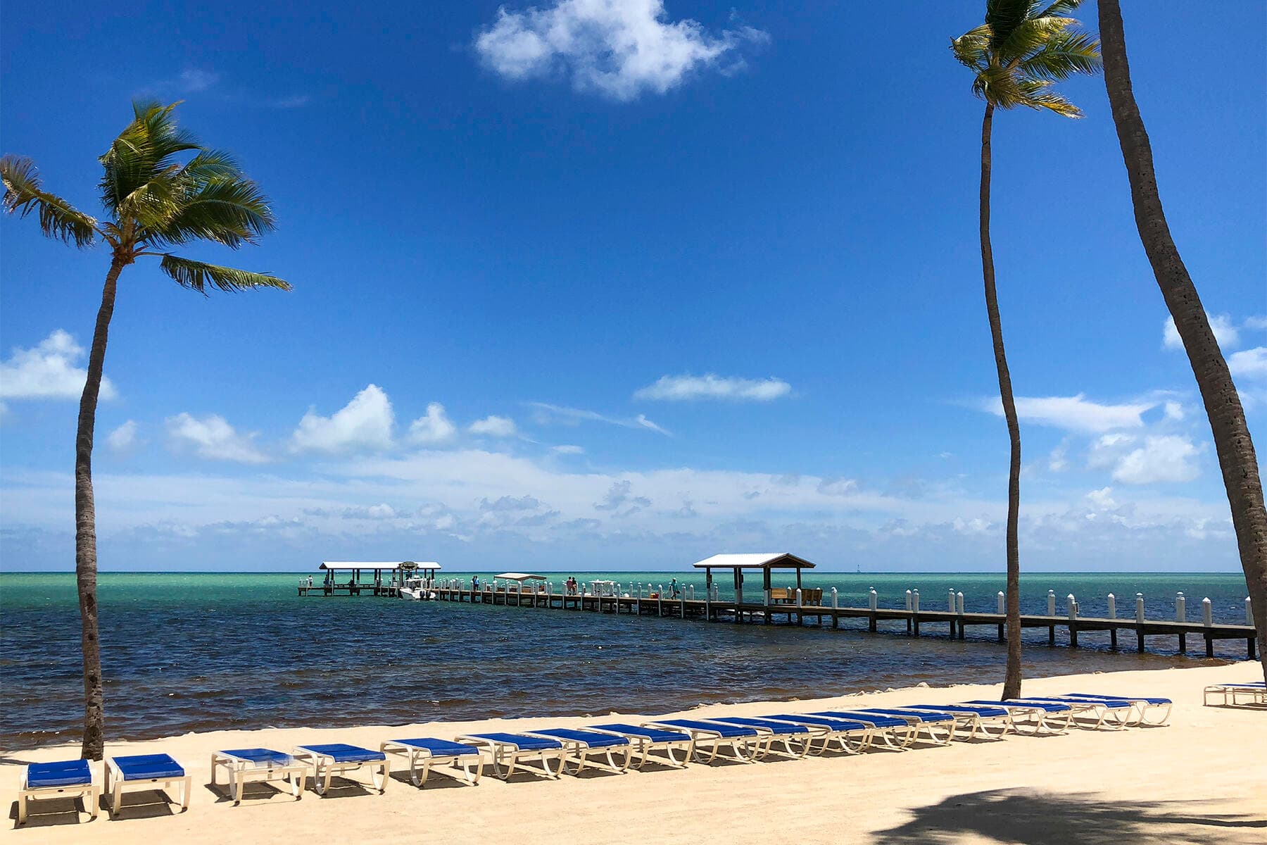 81801 Overseas Highway 637 photo 16
