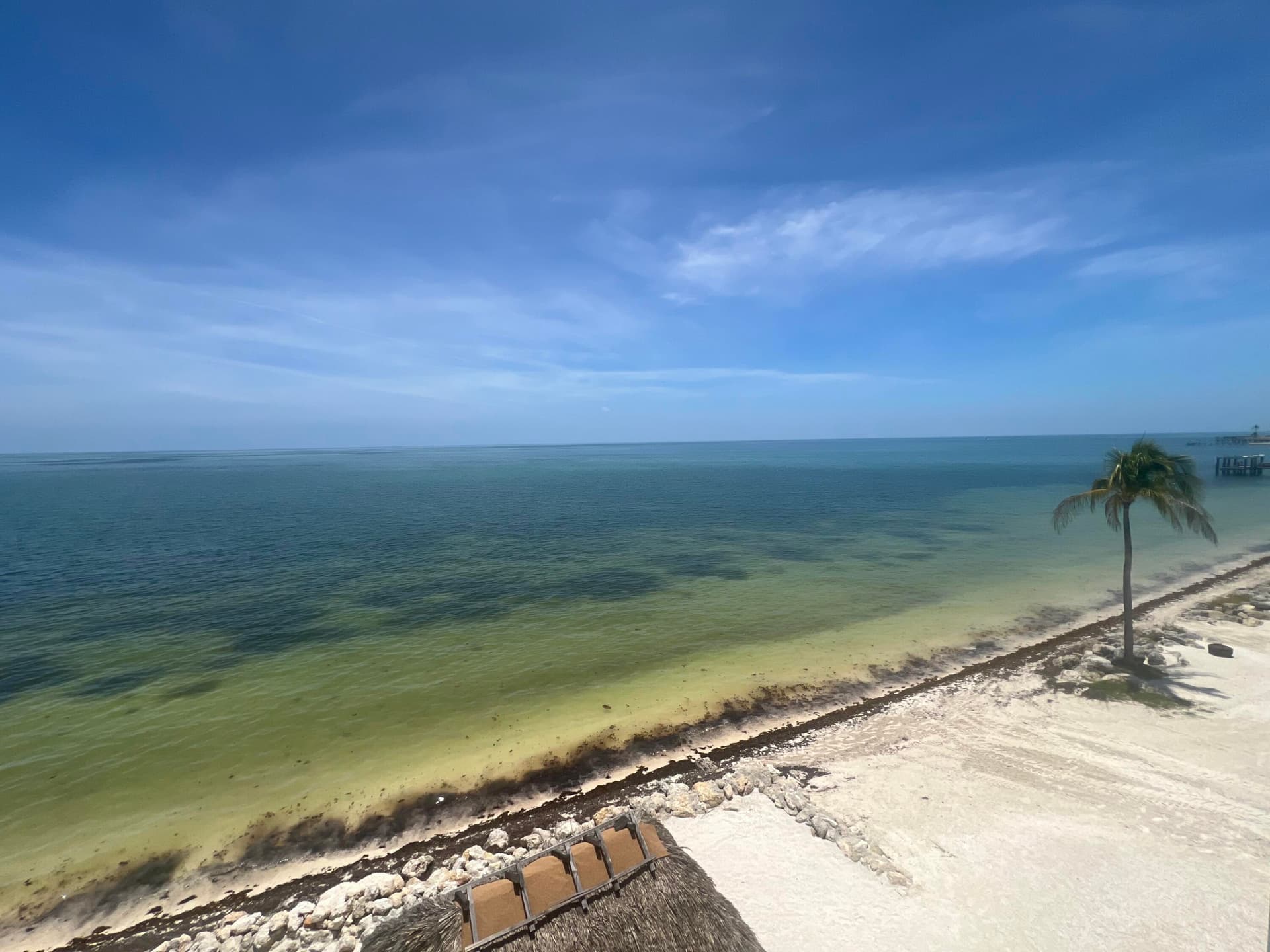 135 Coco Plum Drive APT 3B photo 25