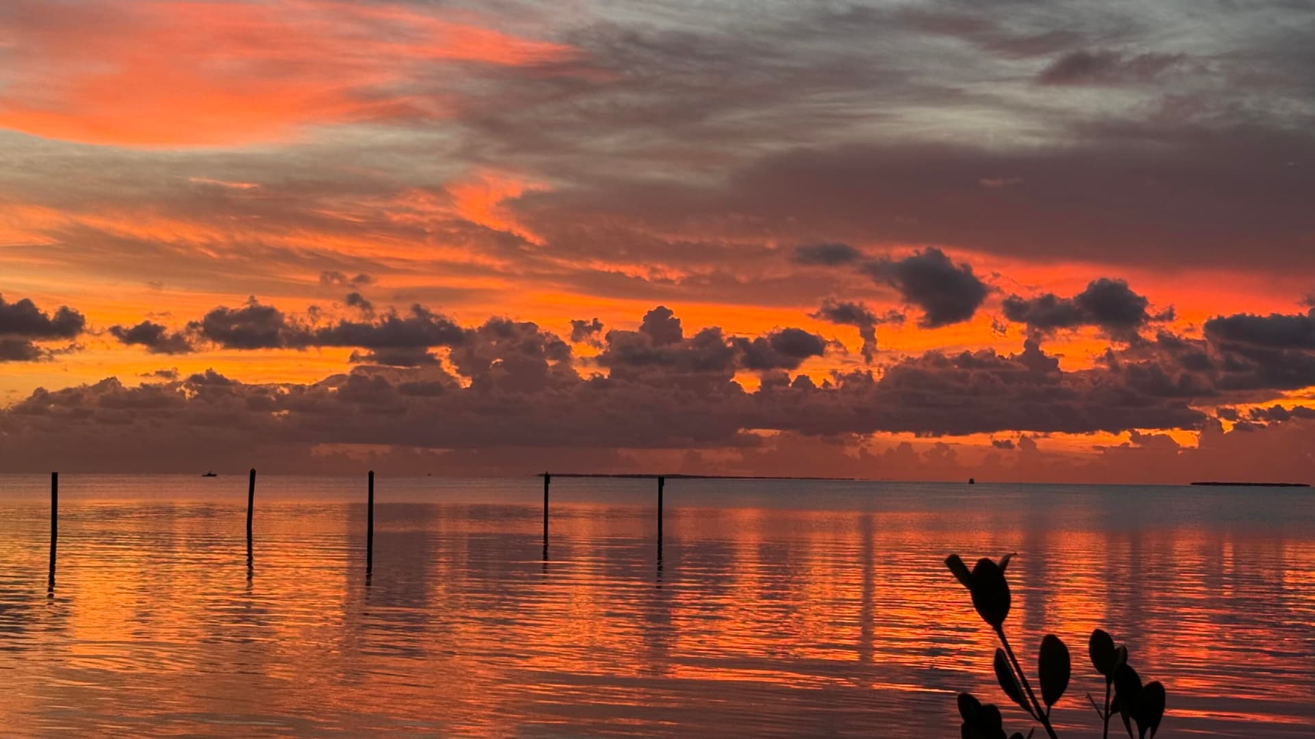 88500 Overseas Highway APT 424 photo 22