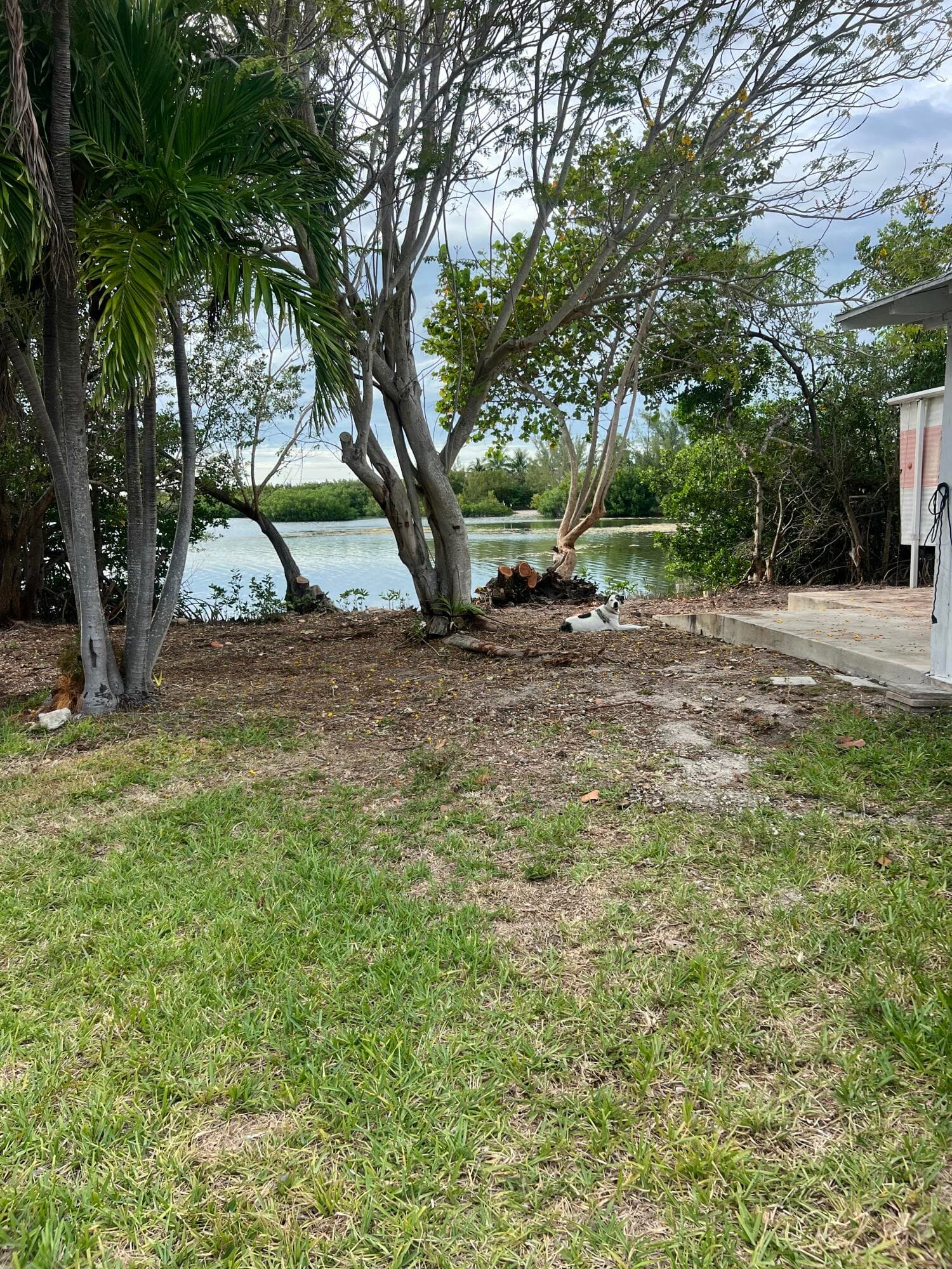 6 Beach Drive photo 10