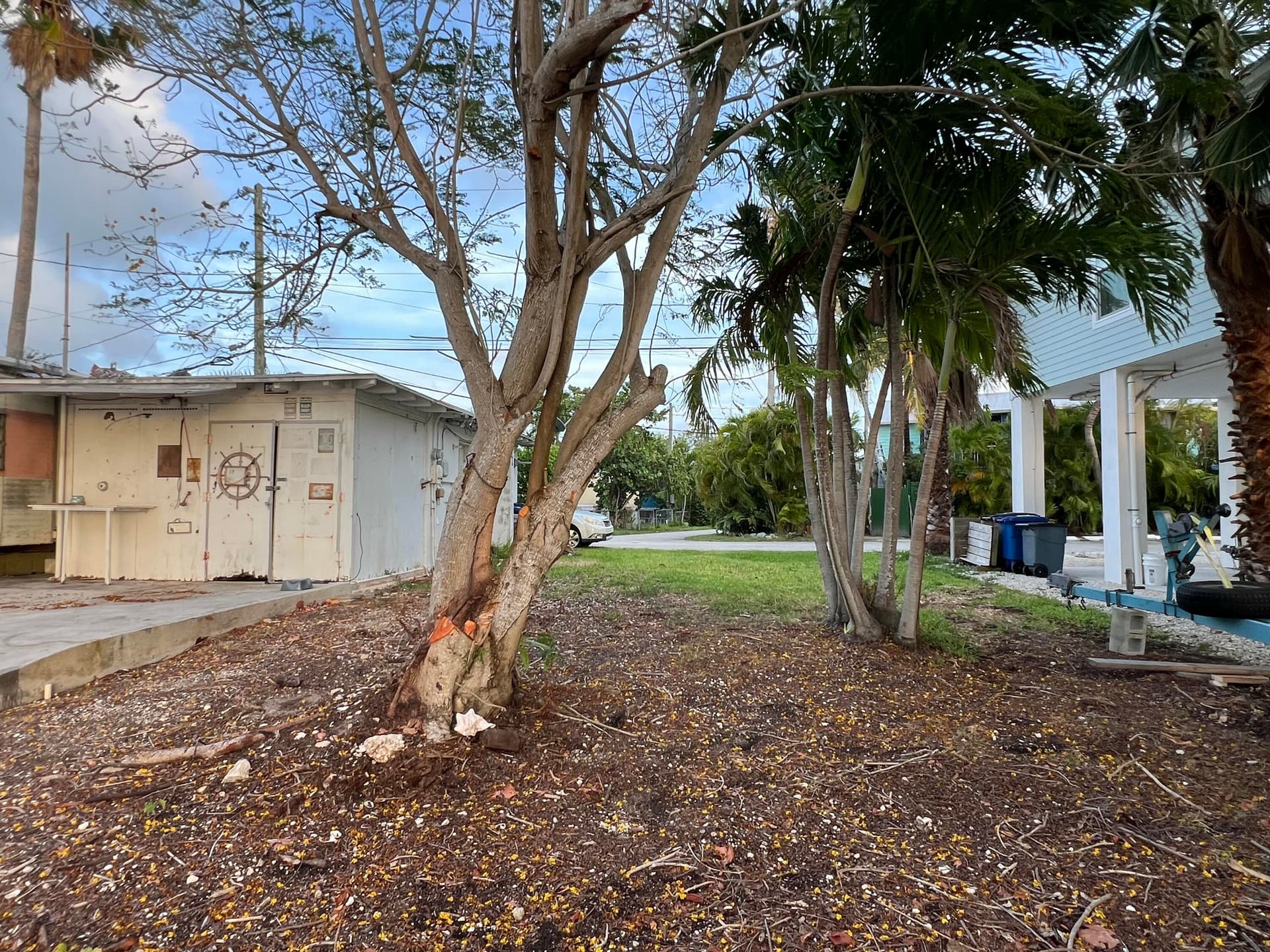 6 Beach Drive photo 5