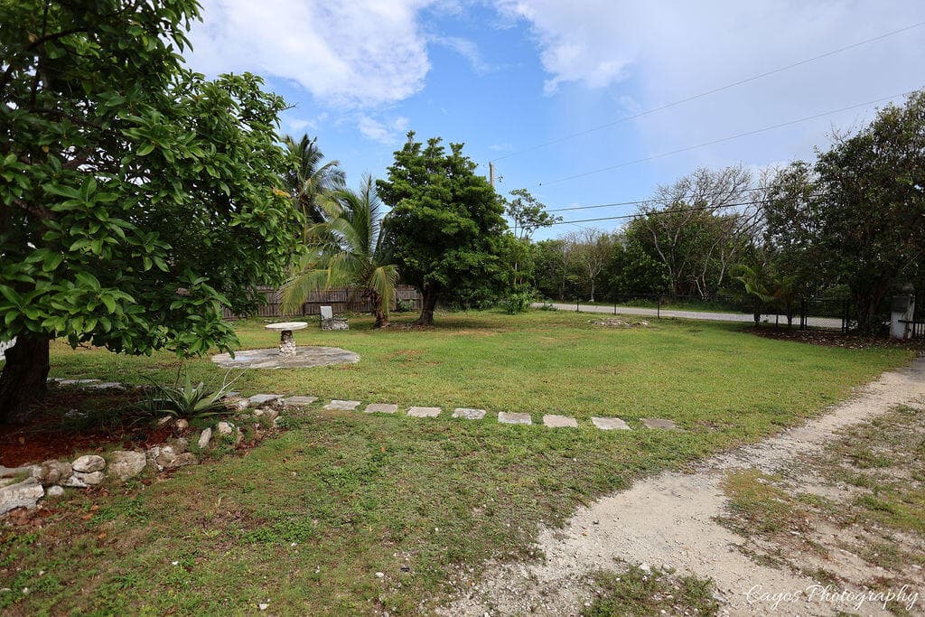 30525 Winifred Street photo 8