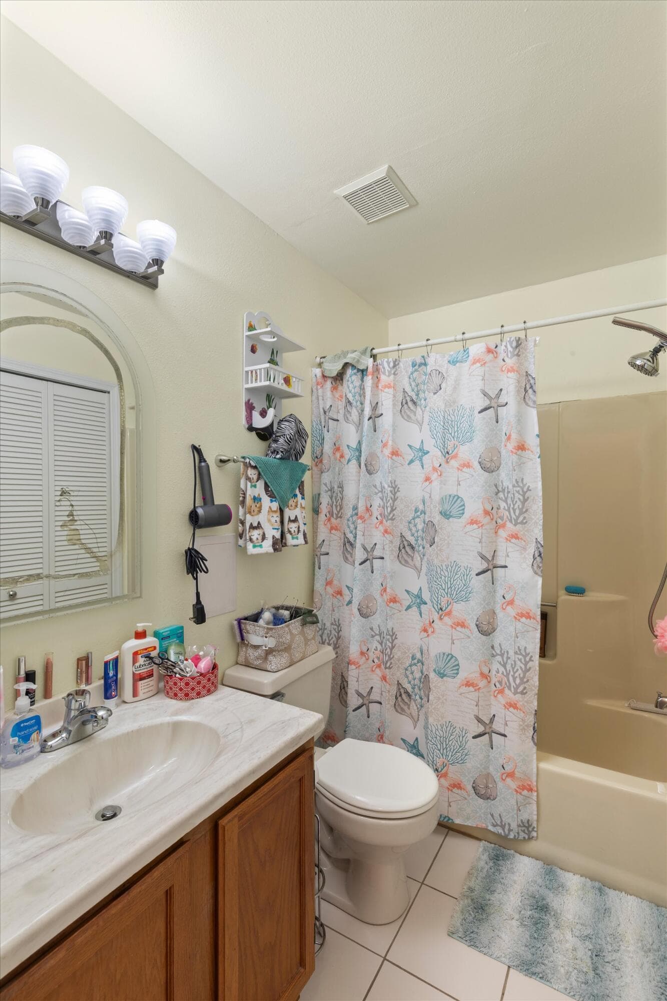 135 Tortuga Lane photo 18