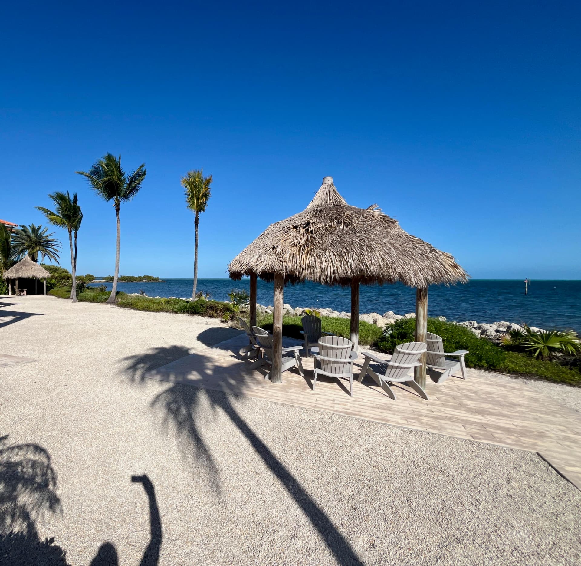 1501 Ocean Bay Drive #10 - B7 photo 14