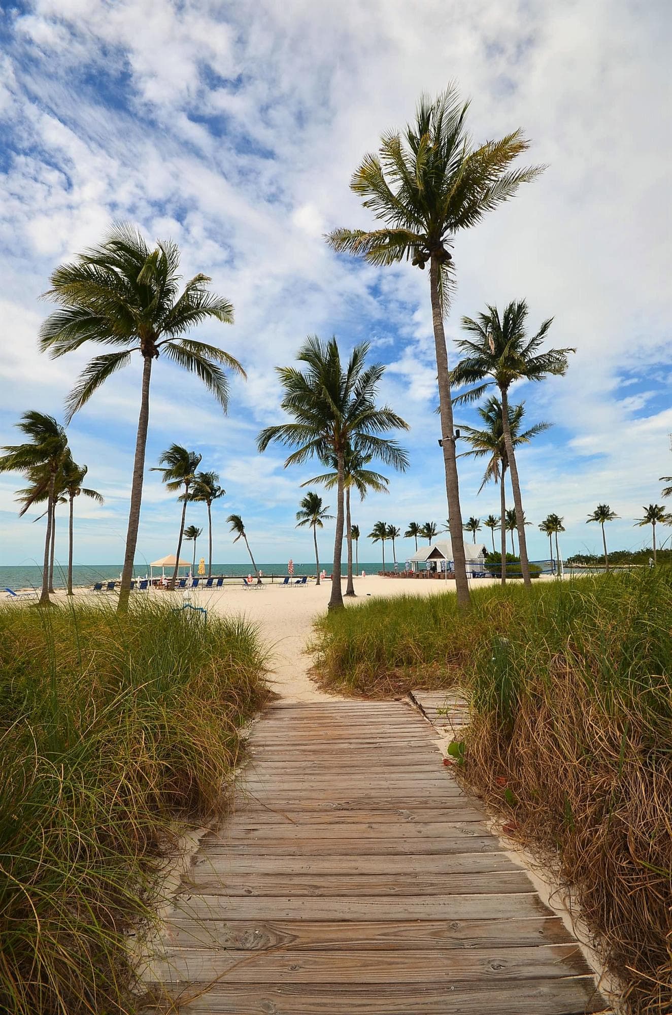 2600 Overseas Highway 5 photo 20