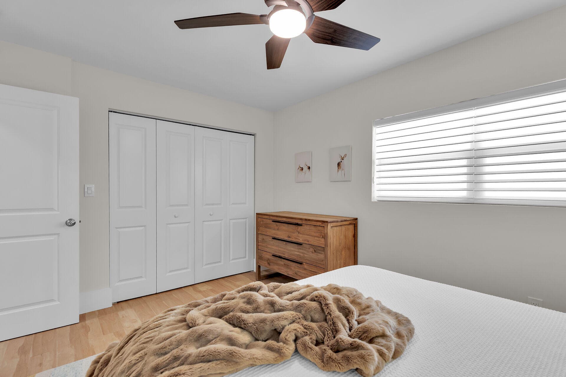 29162 Bougainvillea Lane photo 24