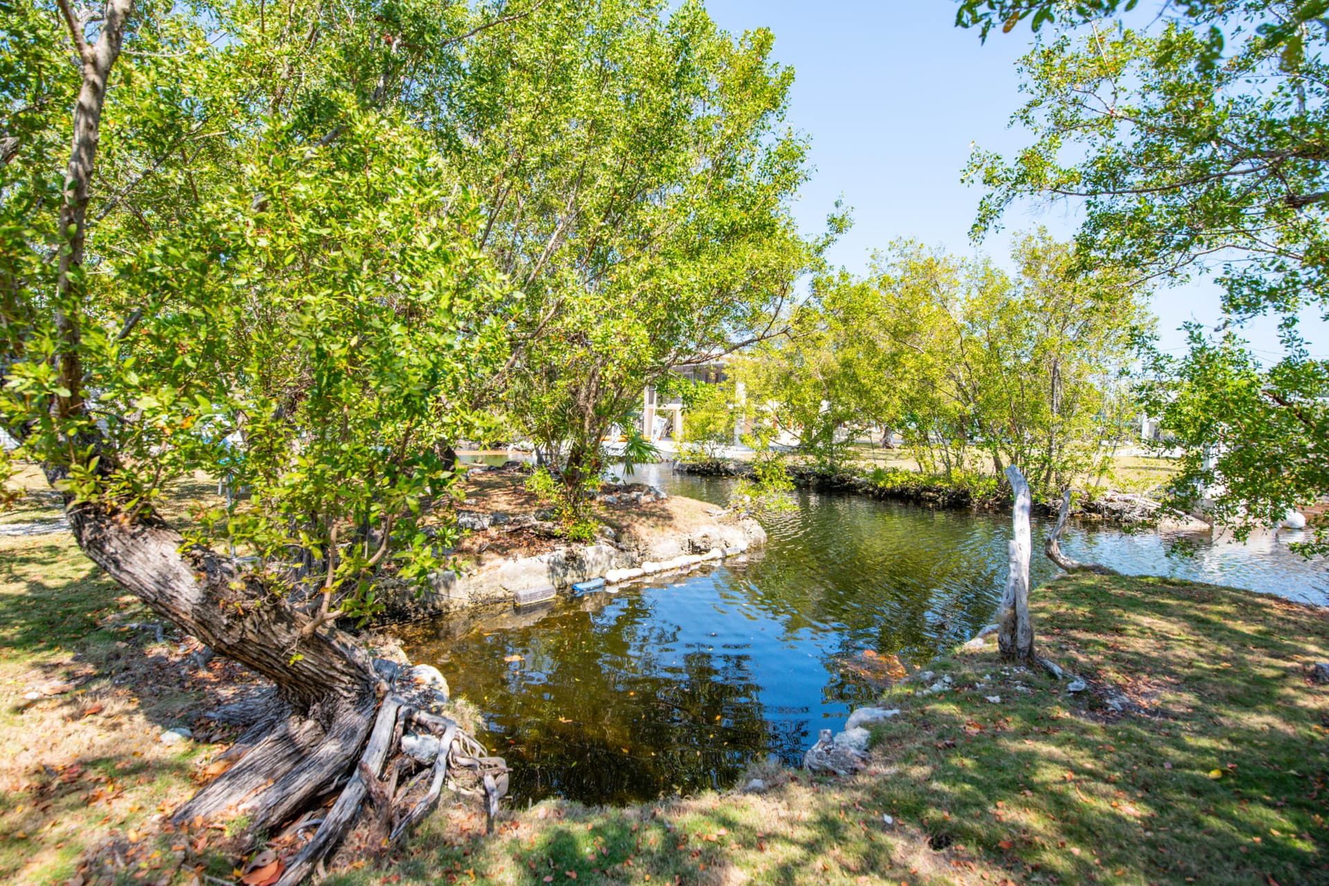 30881 Witters Lane photo 20