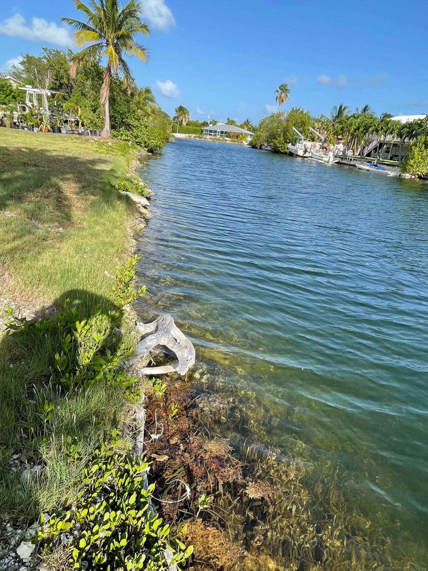 182 Venetian Way photo 3