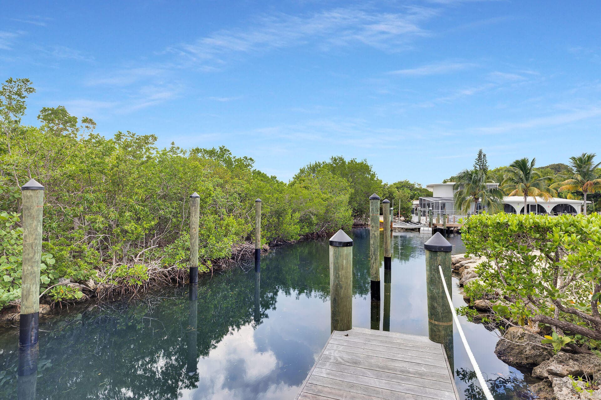1590 Pelican photo 14