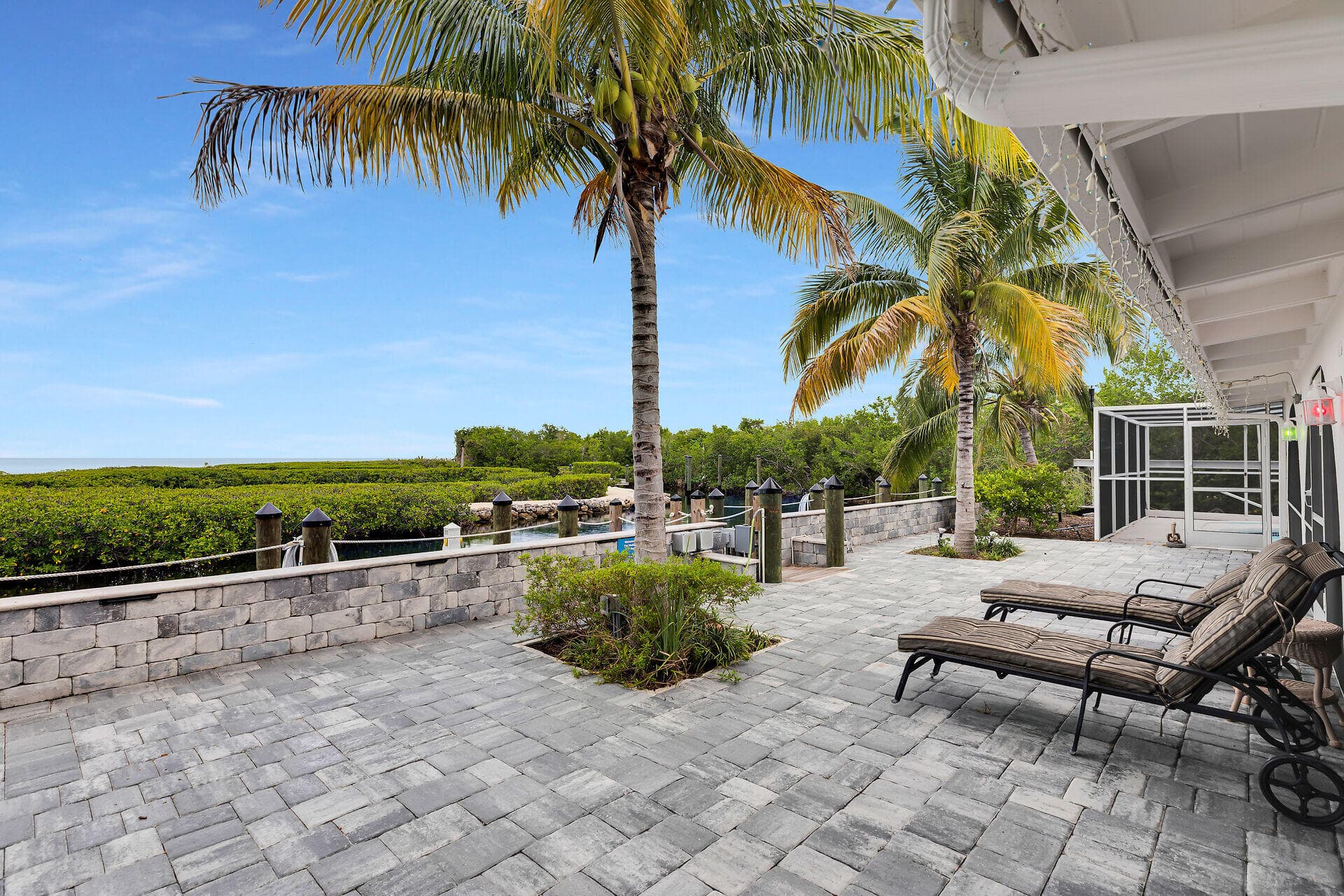 1590 Pelican photo 16