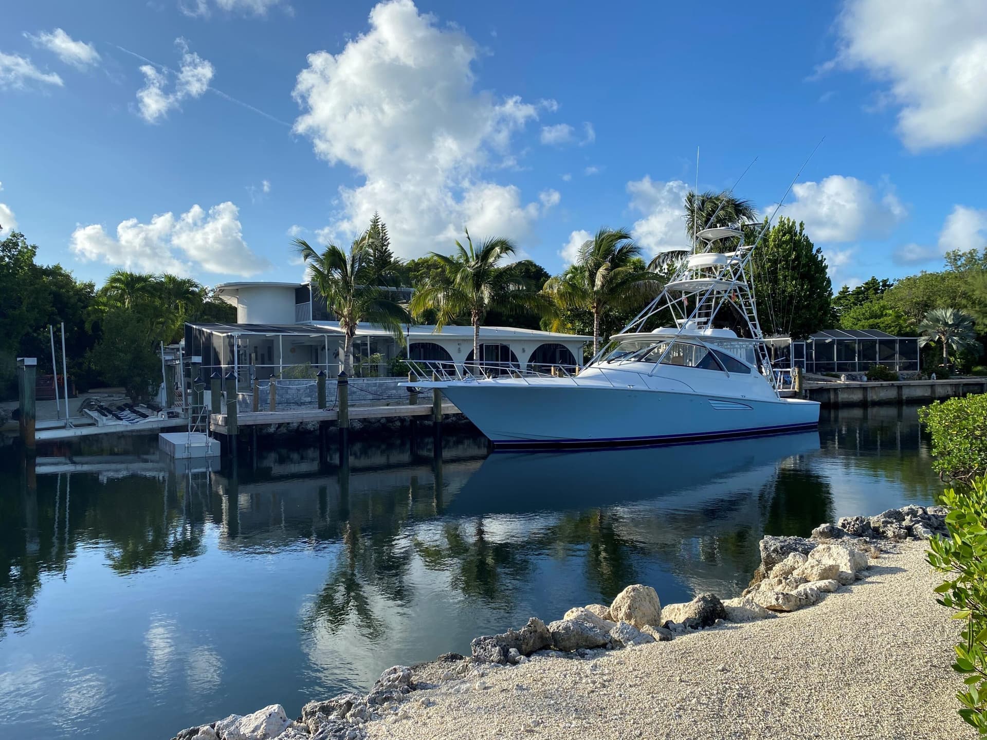 1590 Pelican photo 20