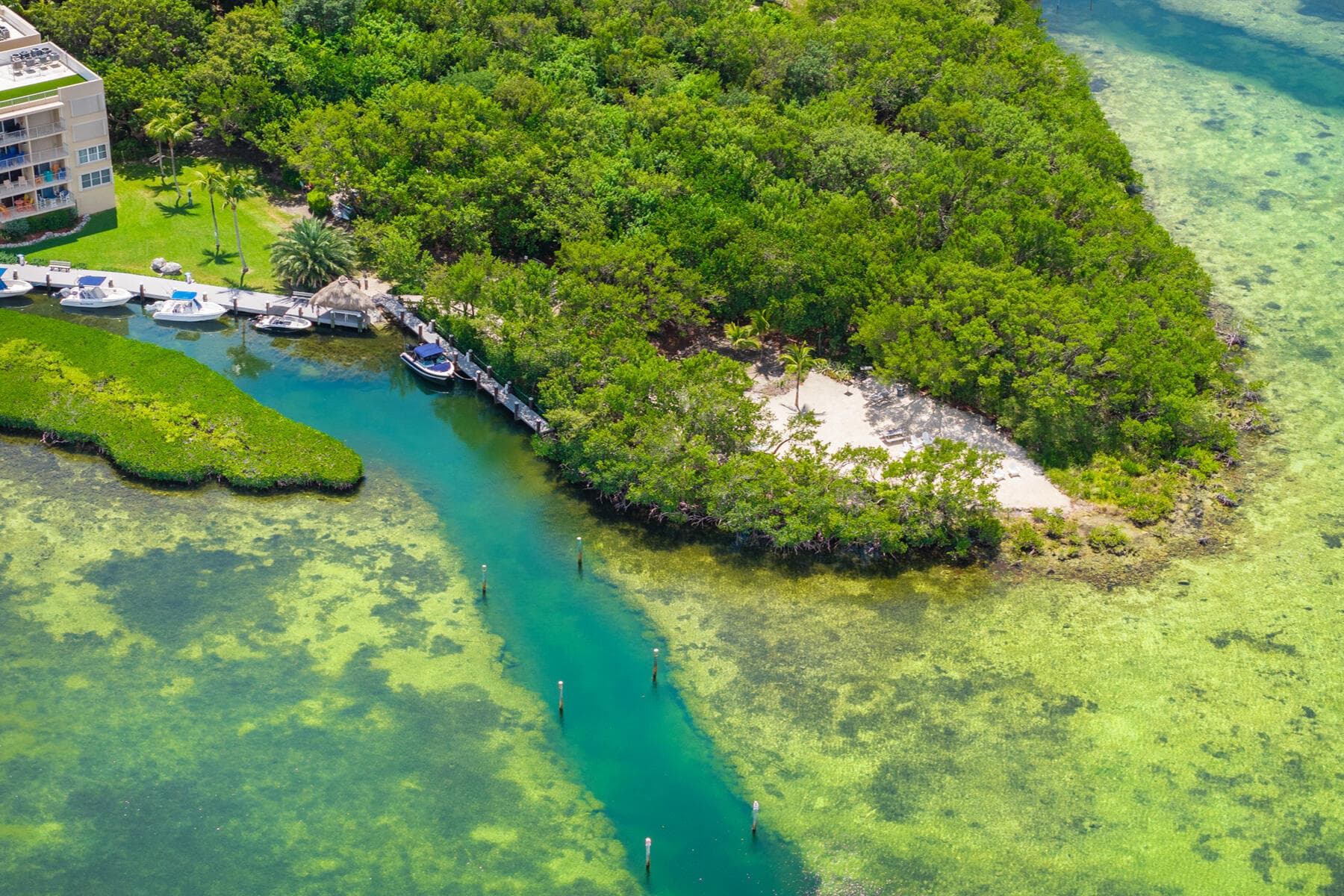 88500 Overseas Highway 407 photo 24
