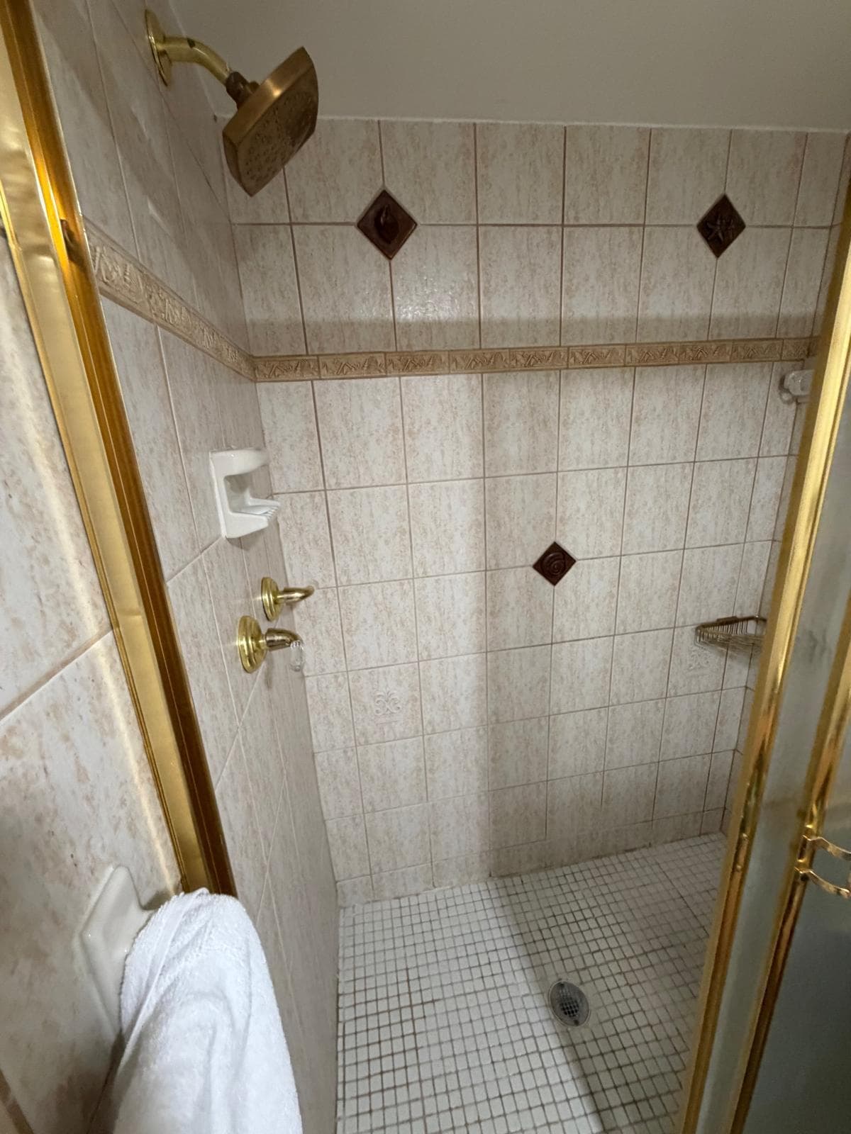 71 Coral Drive photo 20