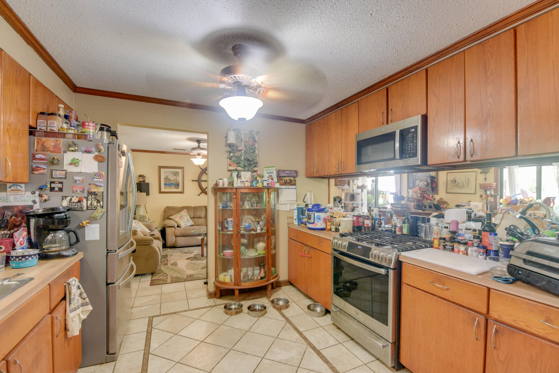 545 Ixora Drive photo 6