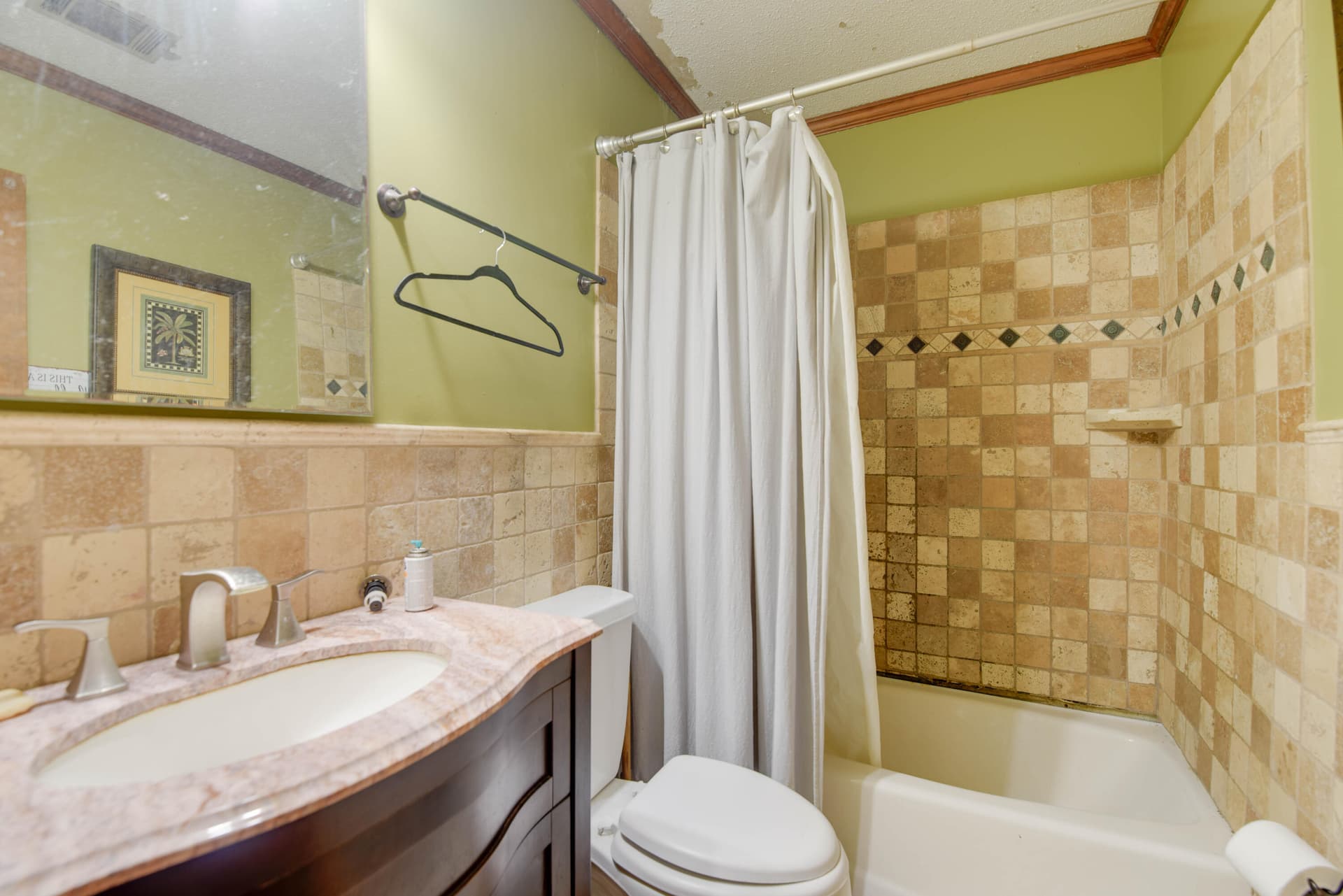 545 Ixora Drive photo 12