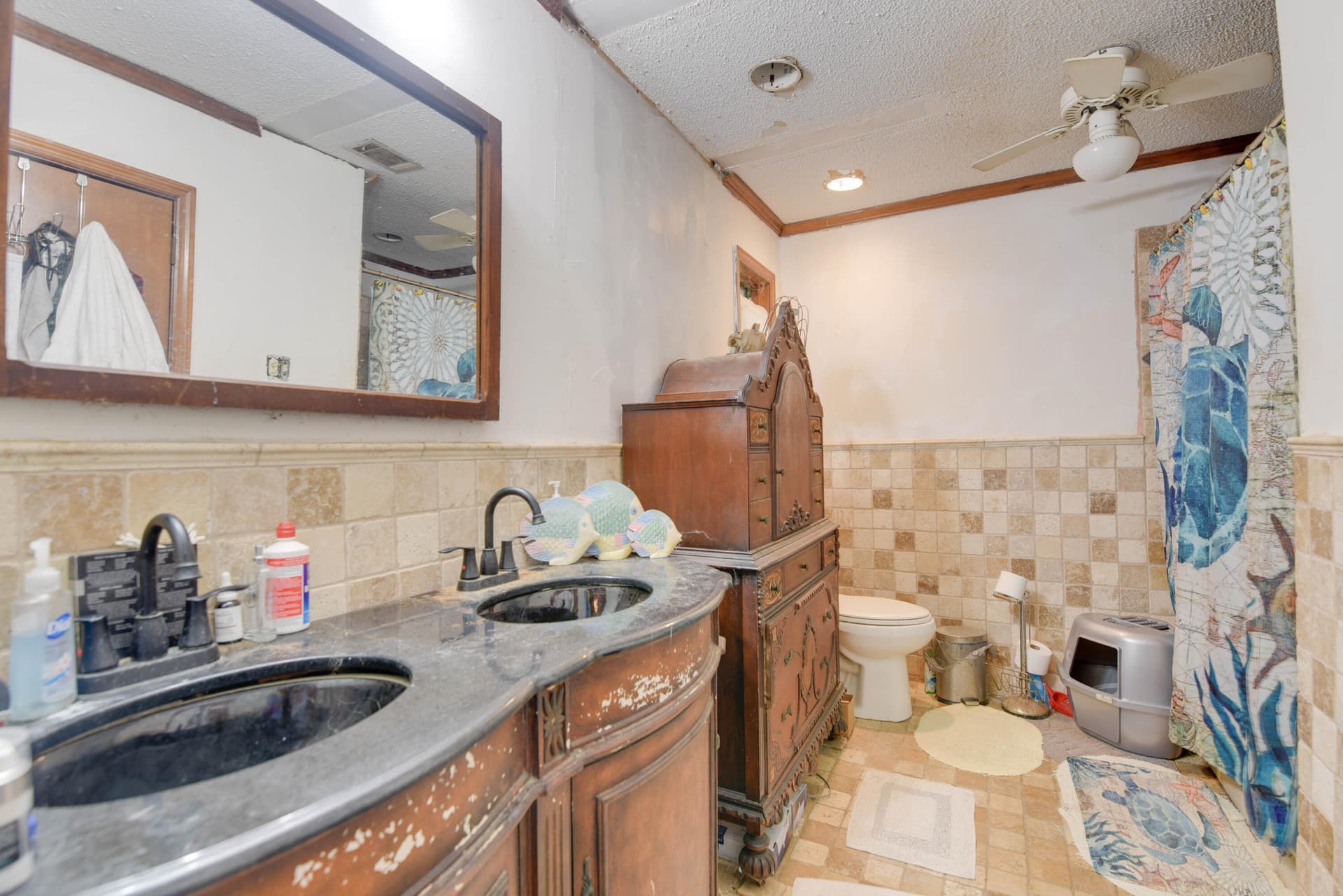 545 Ixora Drive photo 15