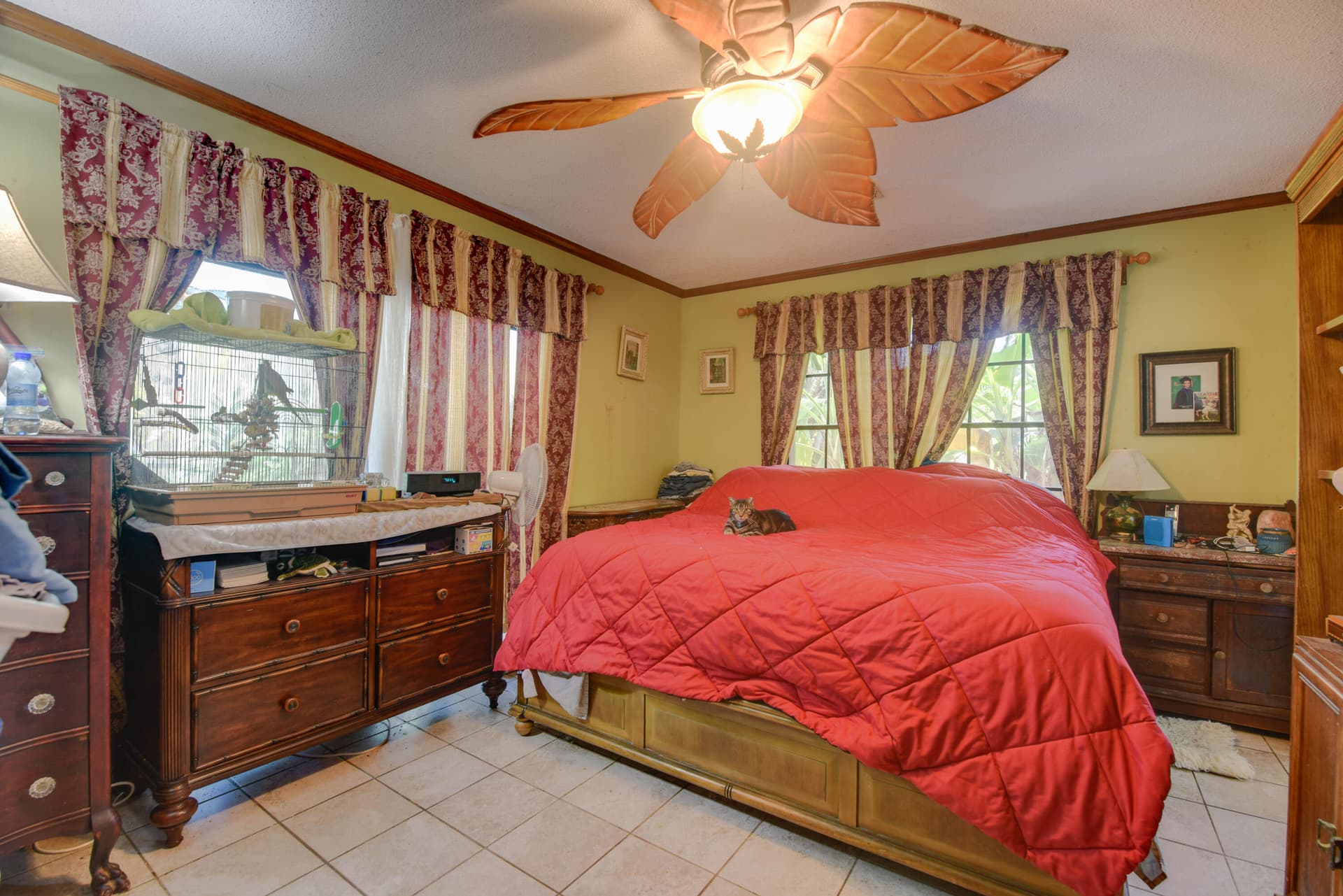 545 Ixora Drive photo 13