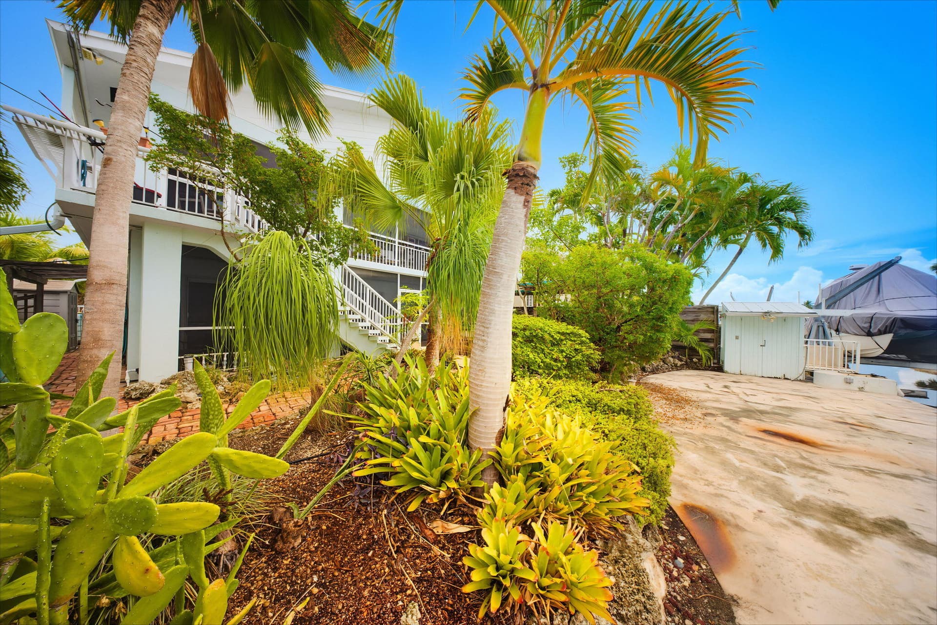 147 Gardenia Street photo 5