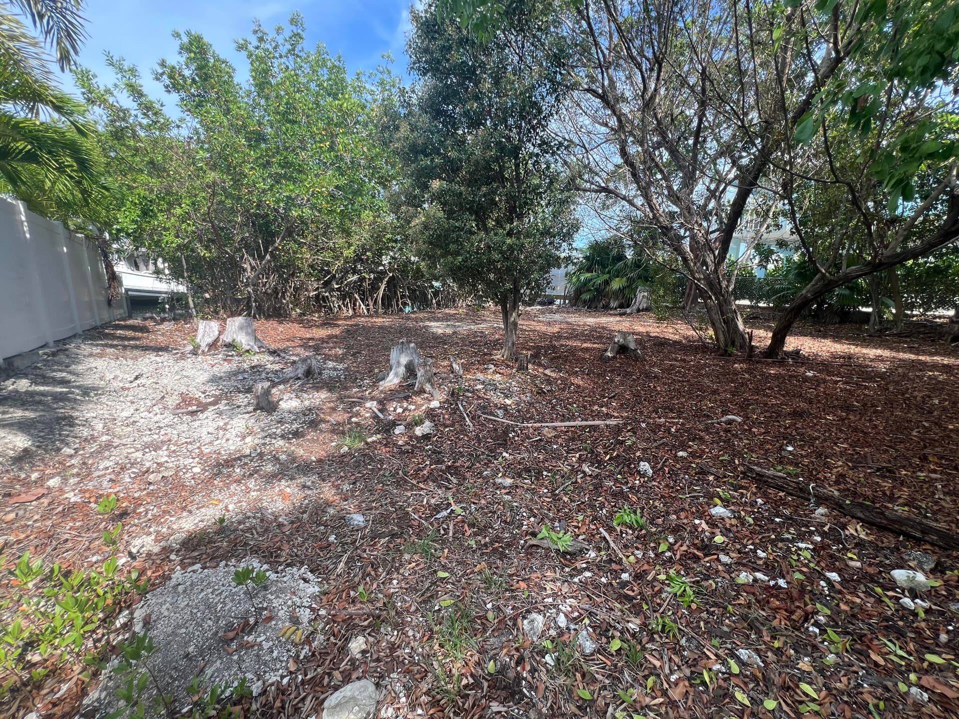 148 Tequesta Street photo 10