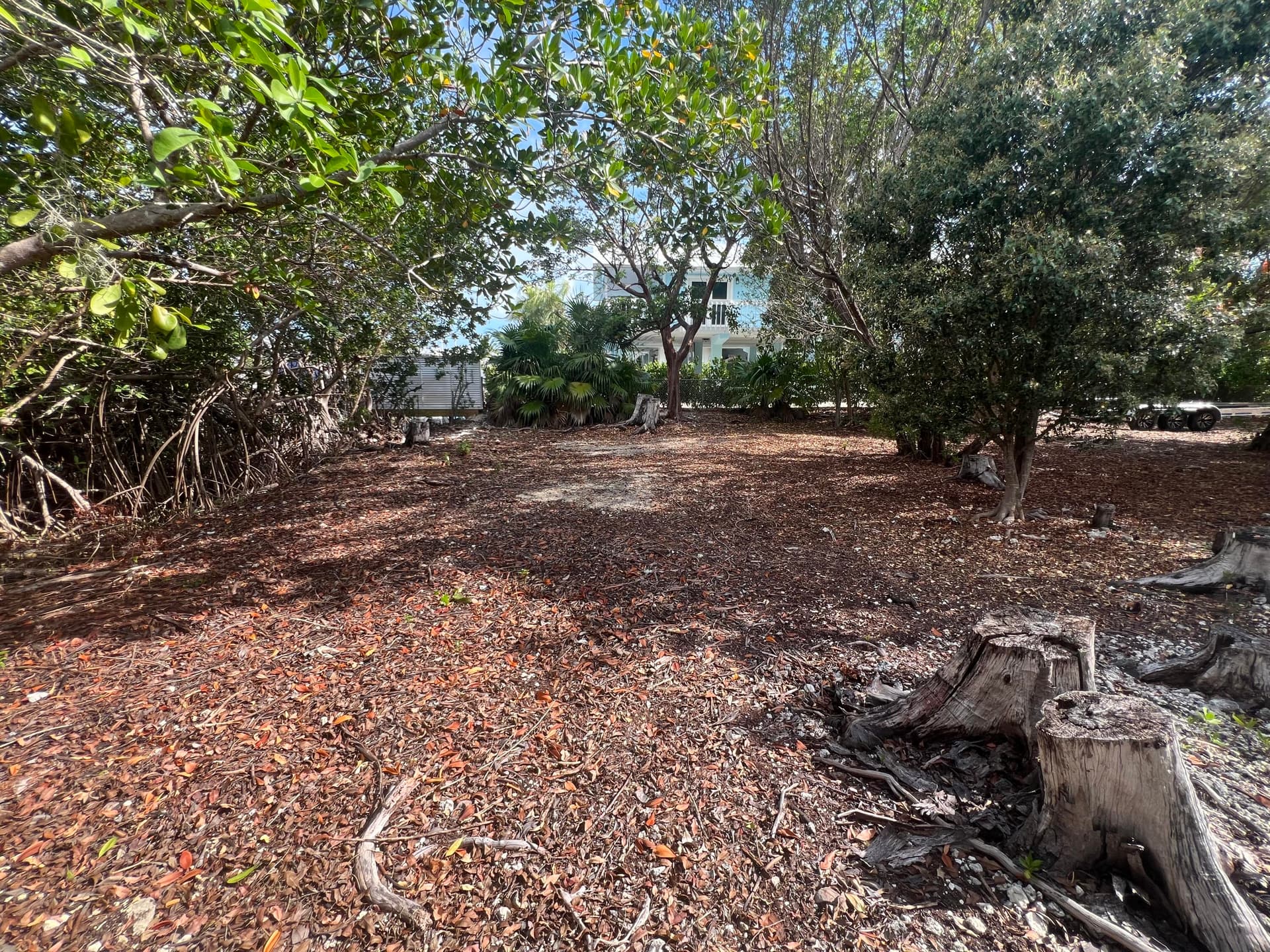 148 Tequesta Street photo 11