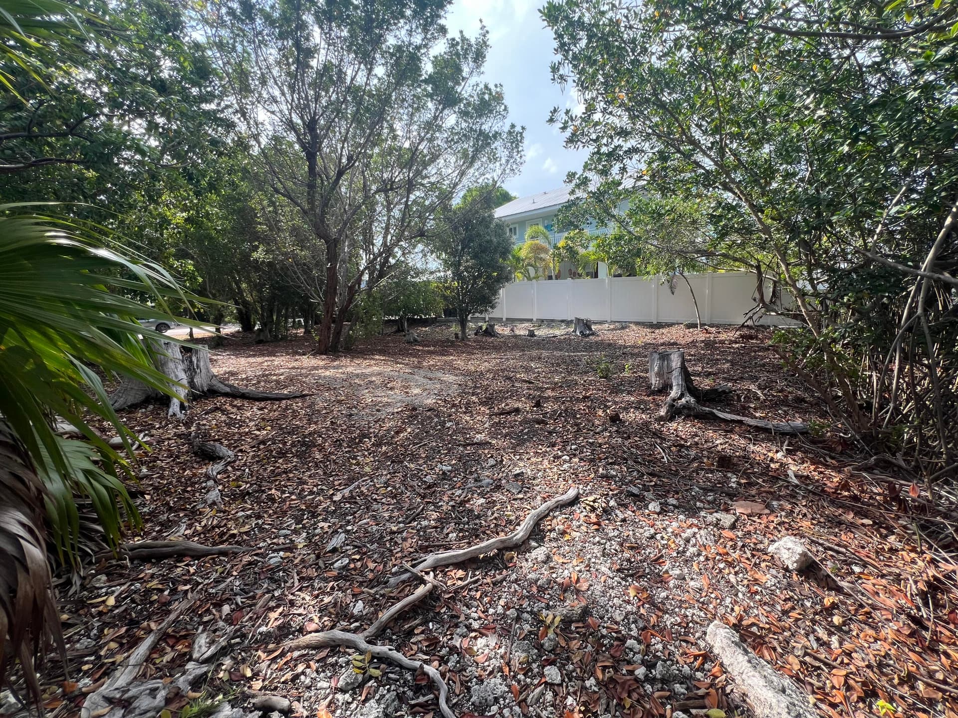 148 Tequesta Street photo 13