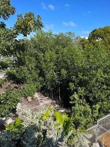 148 Tequesta Street photo 15