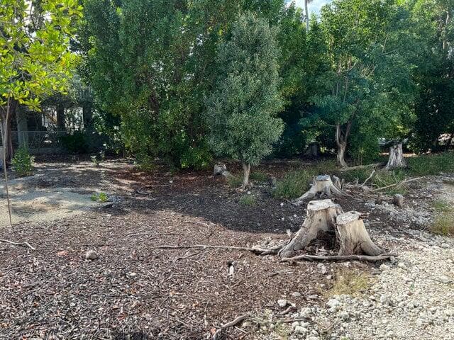 148 Tequesta Street photo 16