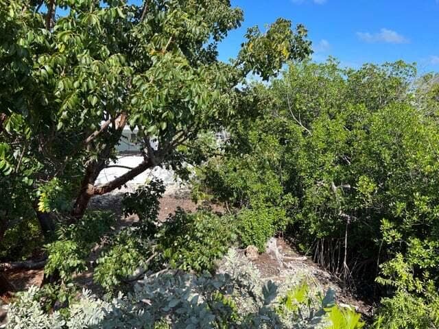 148 Tequesta Street photo 18