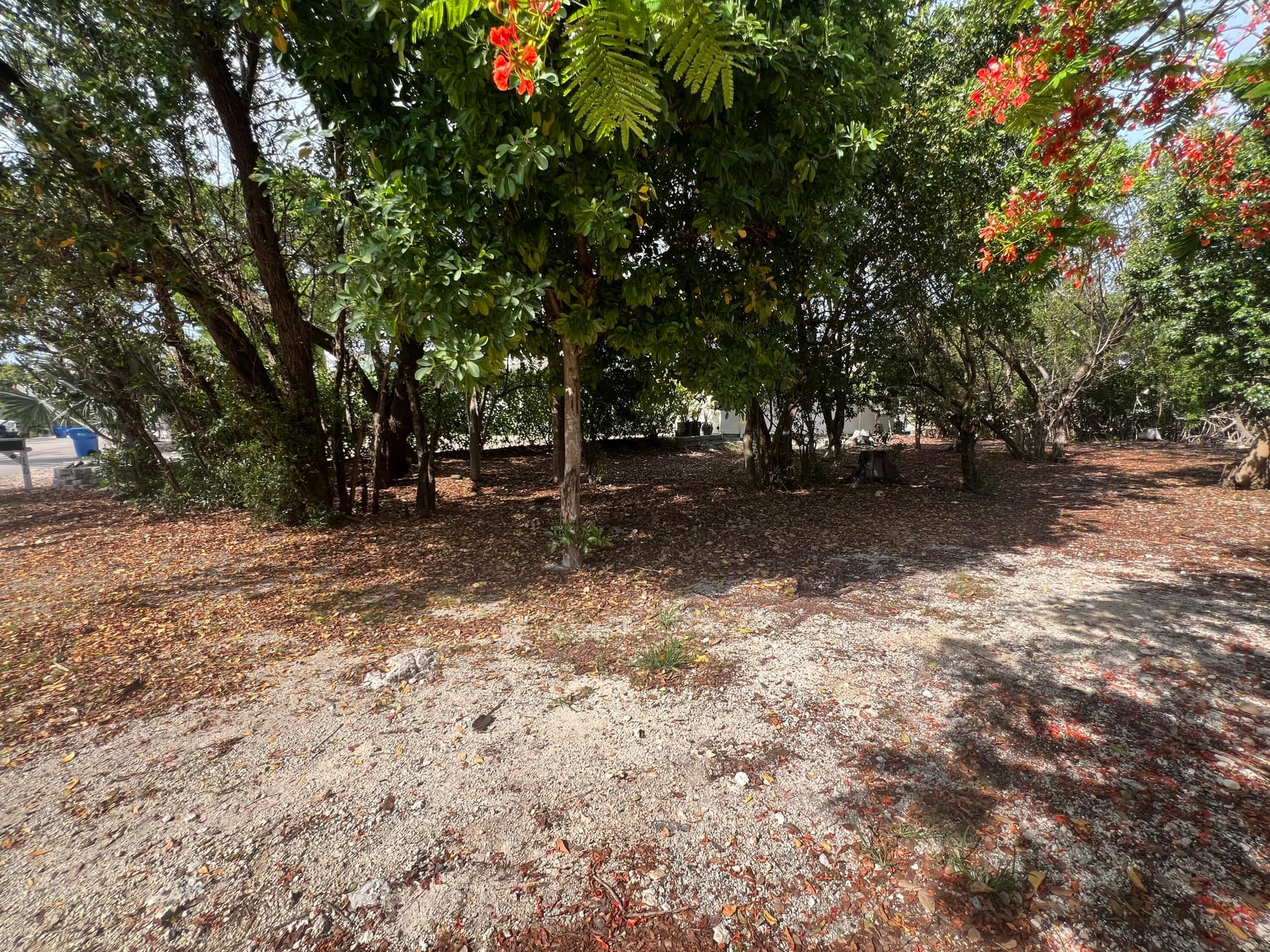 148 Tequesta Street photo 19