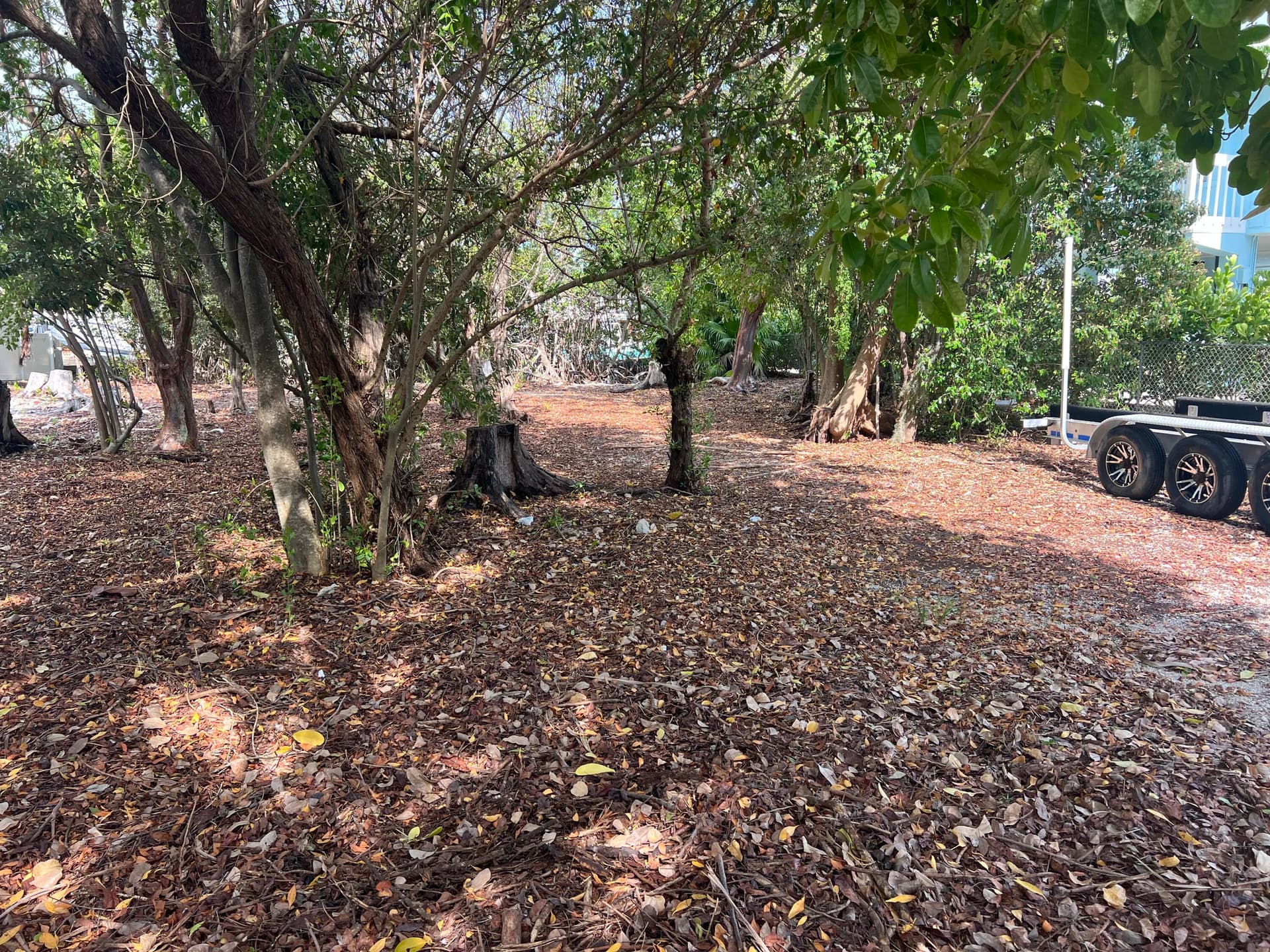 148 Tequesta Street photo 22
