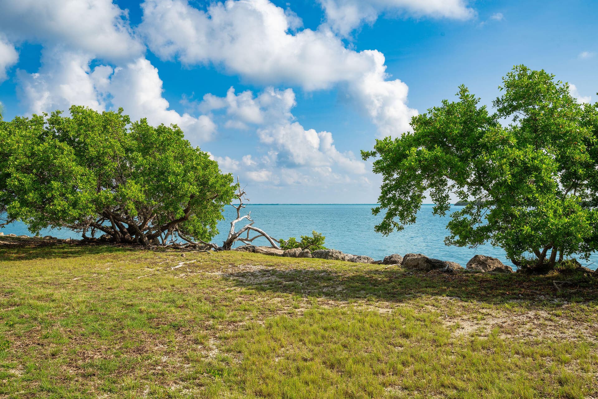 2131 Coral Way photo 12