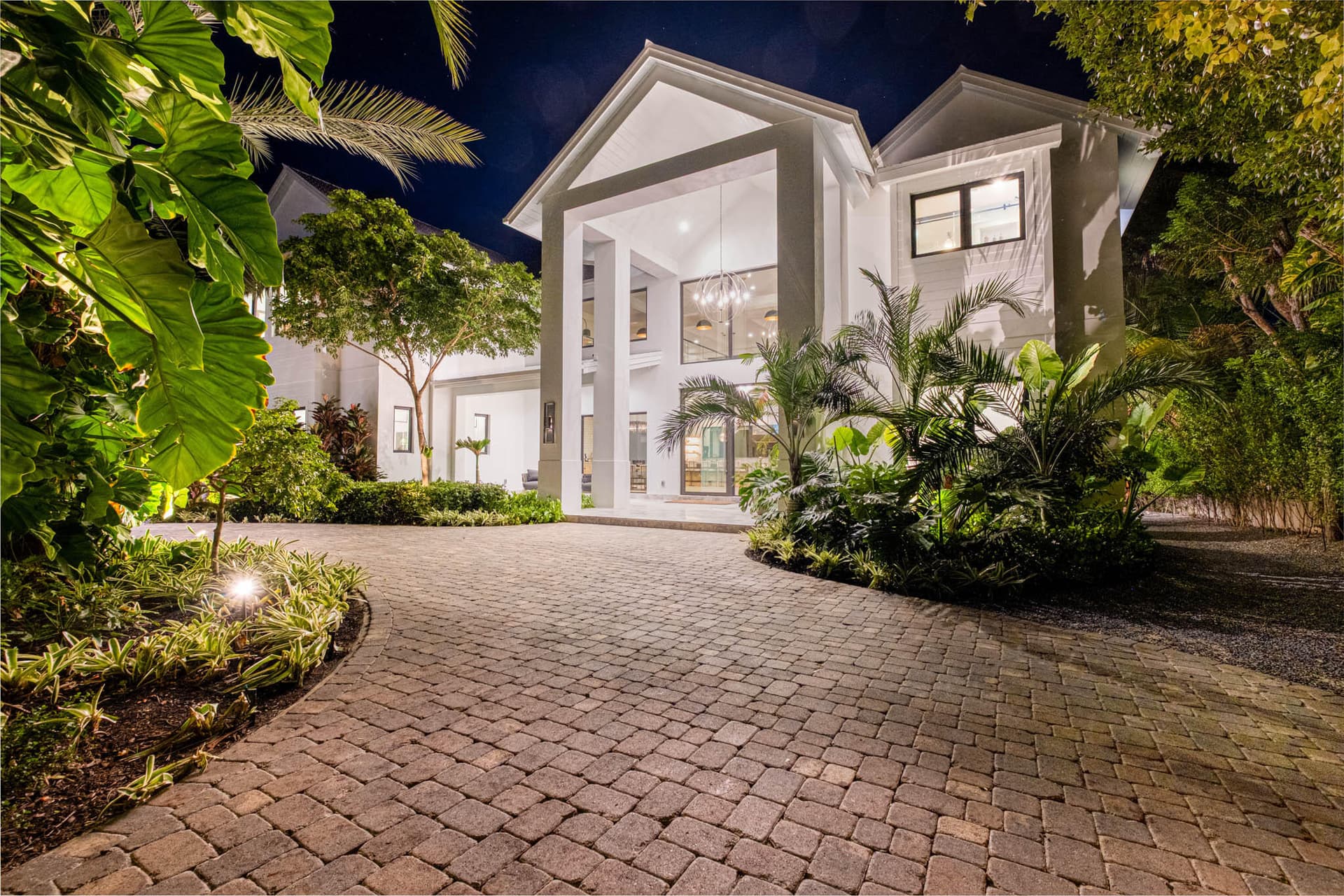 16 Avacado Street photo 5