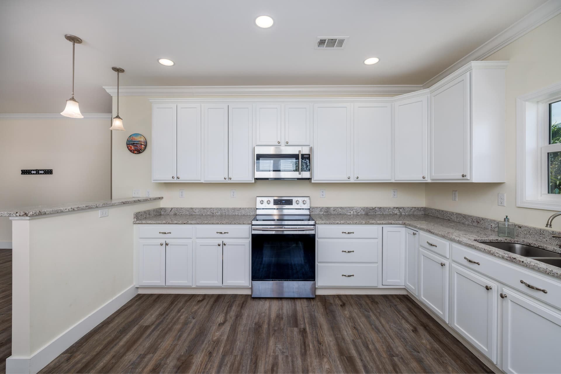 29667 Flying Cloud Avenue photo 15