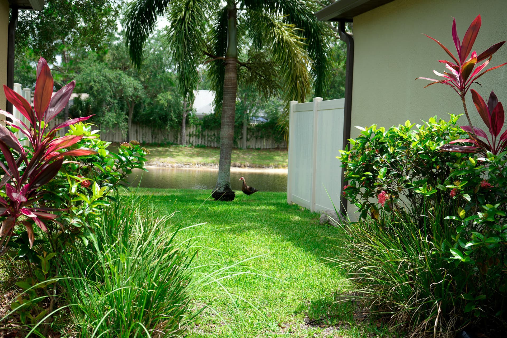 283 Murano Drive photo 2