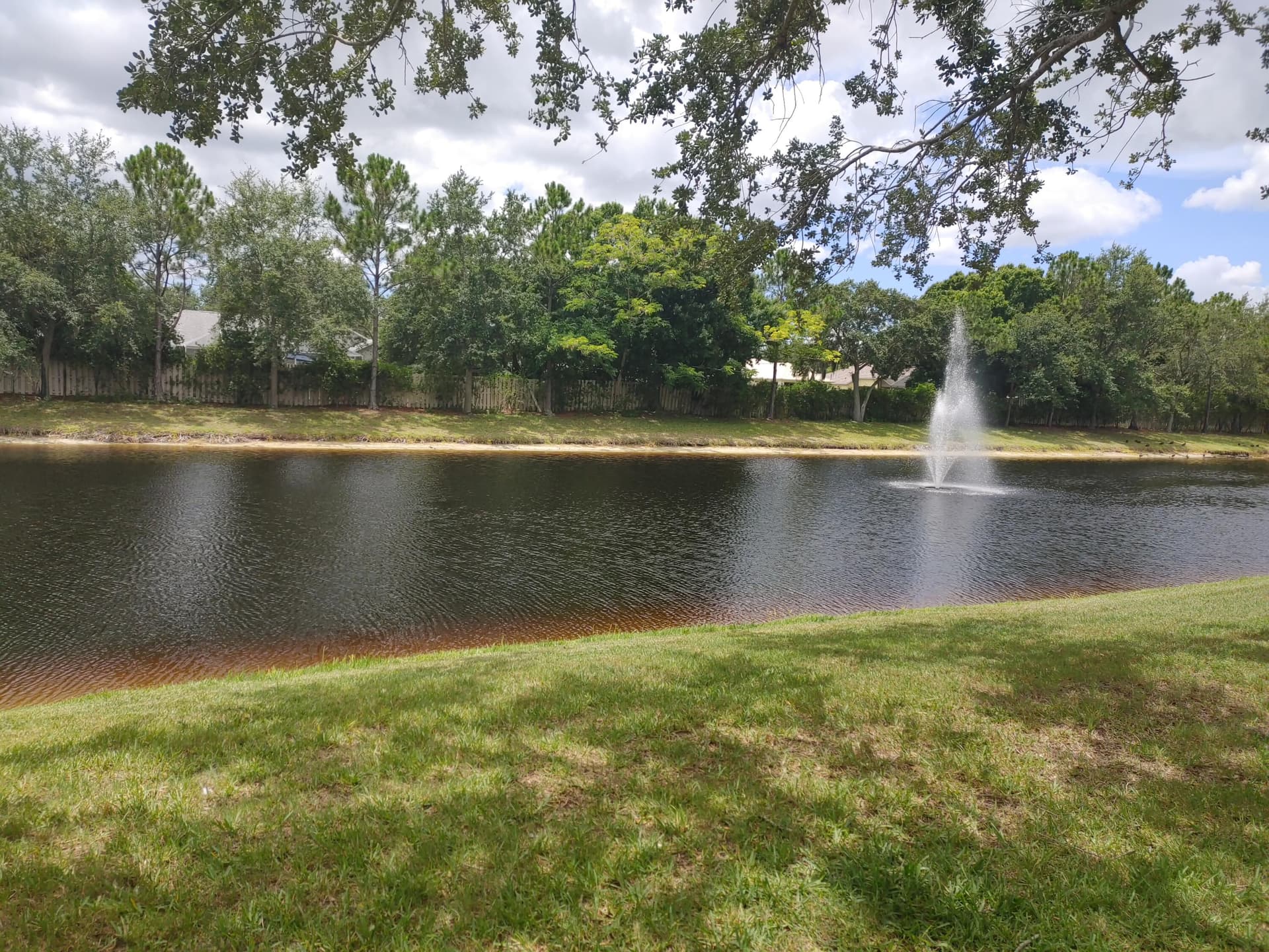 283 Murano Drive photo 21