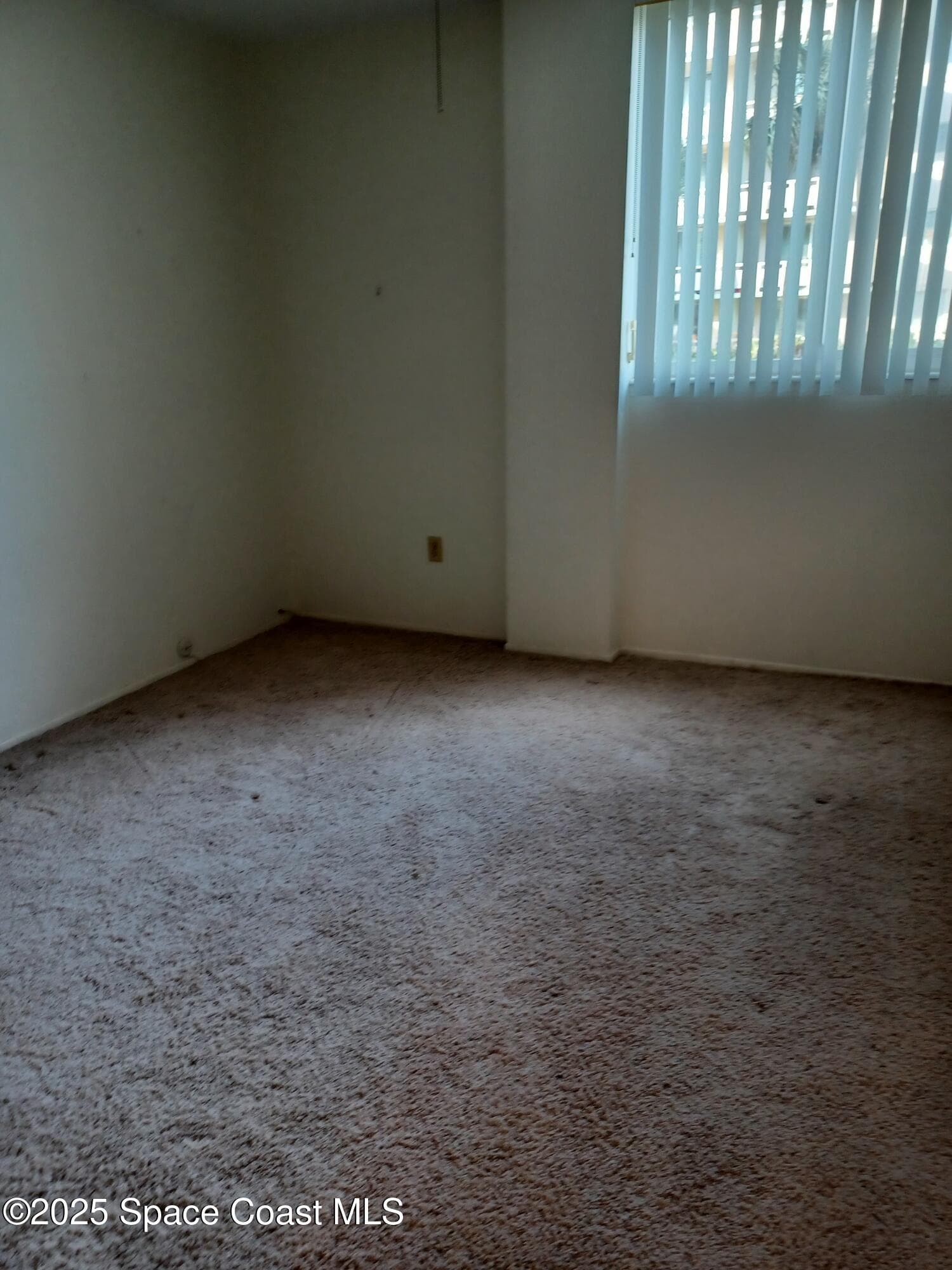 2020 N Atlantic Avenue 112-S photo 12