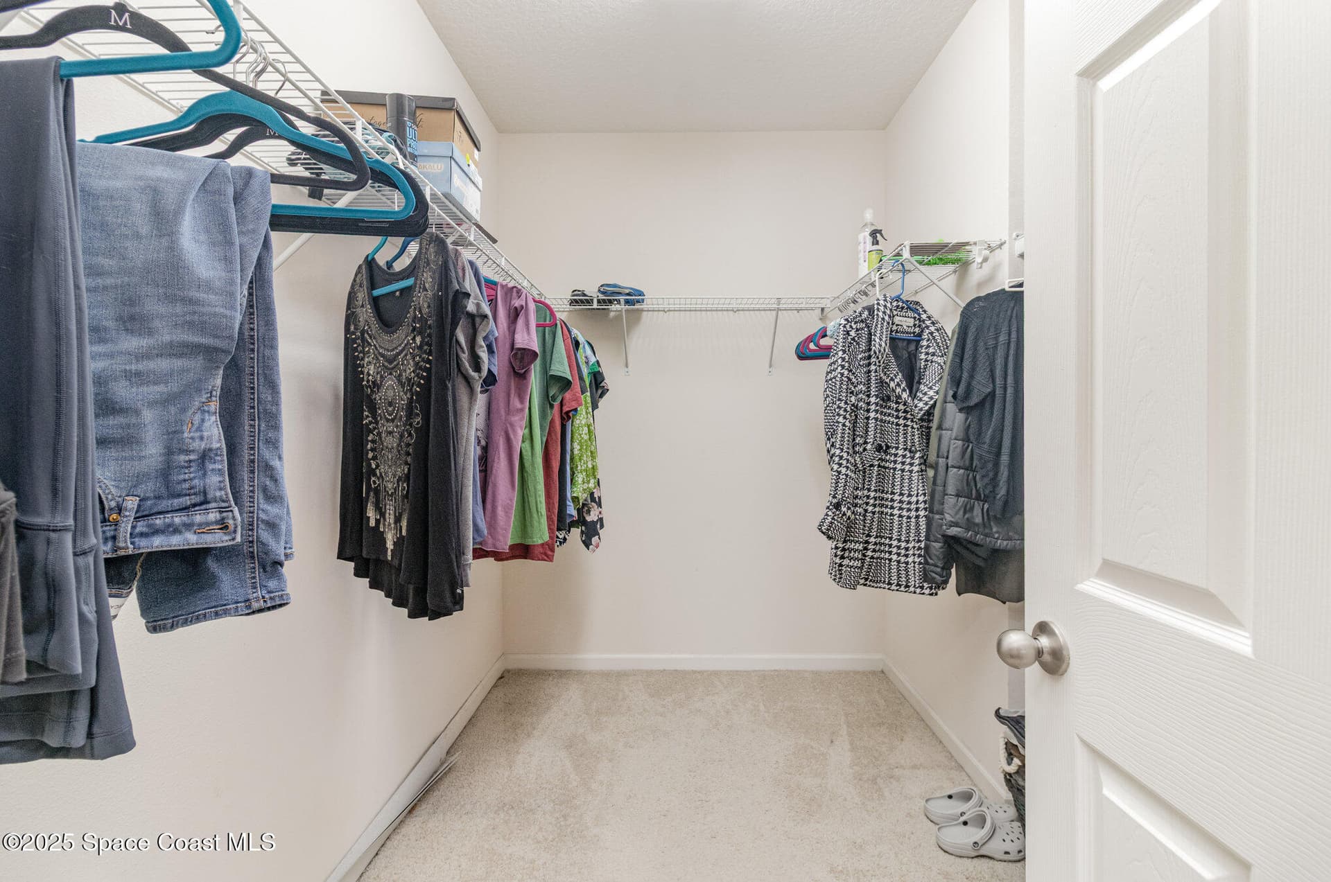 485 Horsemint Avenue photo 12